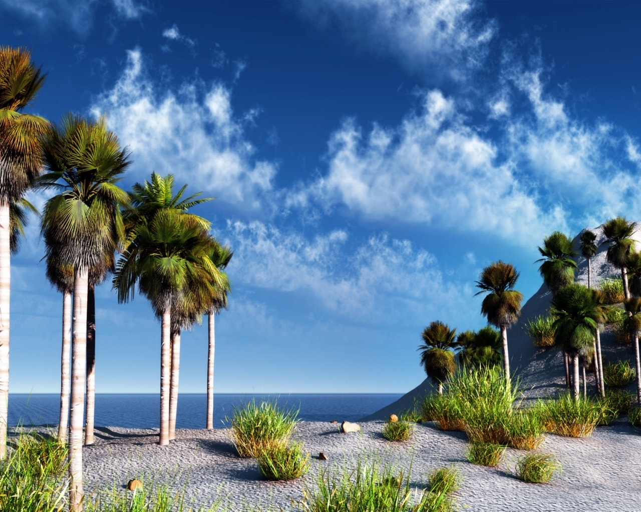 Download mobile wallpaper Landscape, Palms, Sky for free.