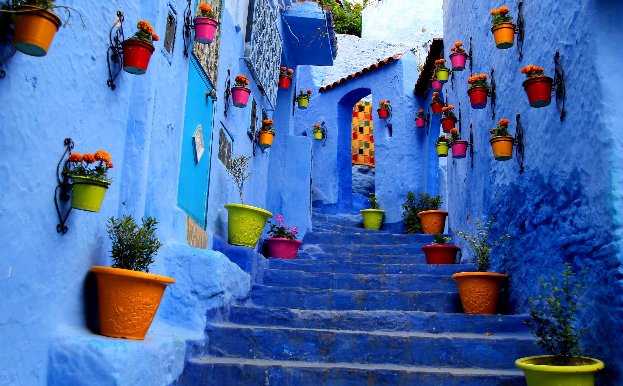 man made, stairs, blue, colorful, colors, flower, pot plant