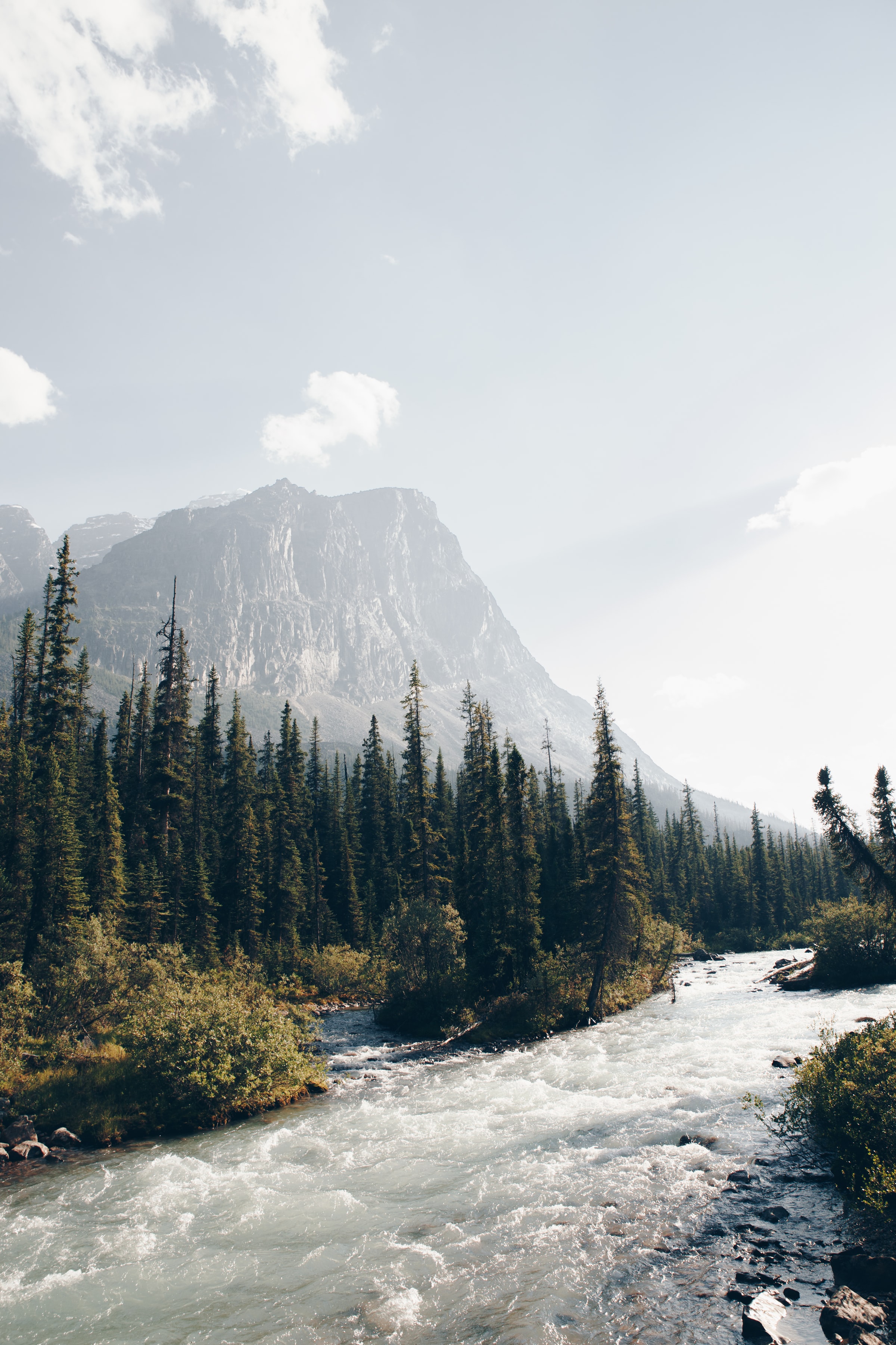 Download mobile wallpaper Ate, Stream, Trees, Flow, Forest, Nature, Rivers, Mountains for free.