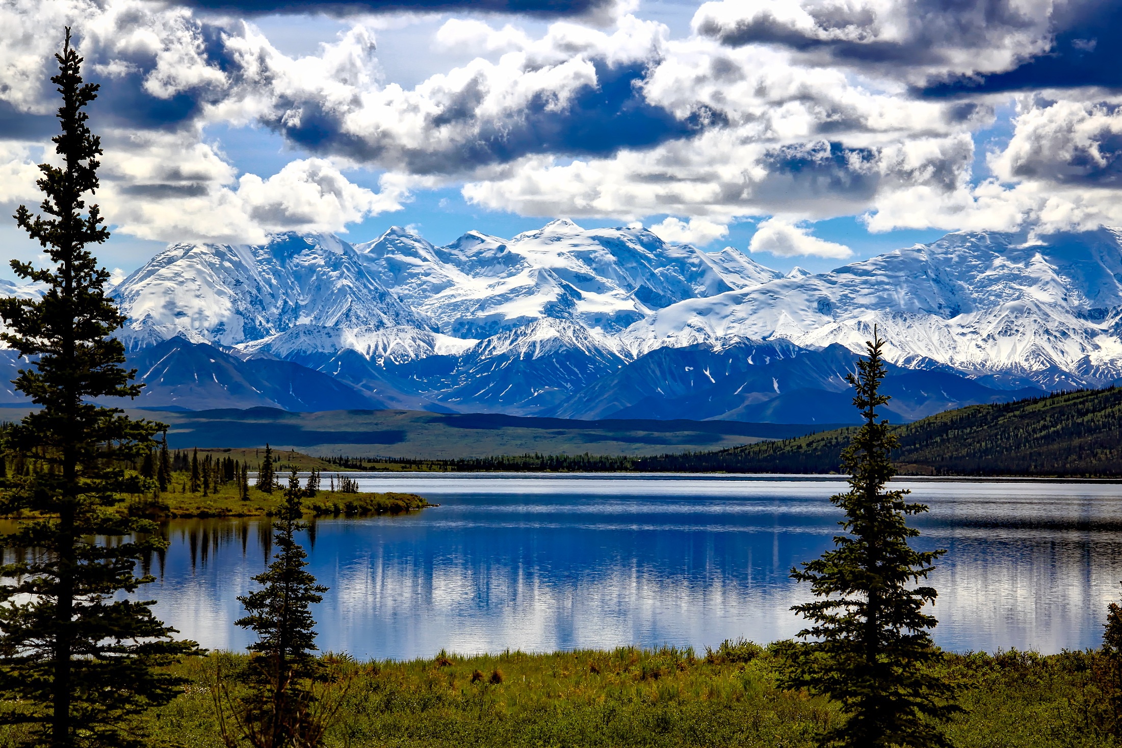denali national park, alaska, earth, lake, cloud, mountain, nature, tree, usa, lakes HD wallpaper