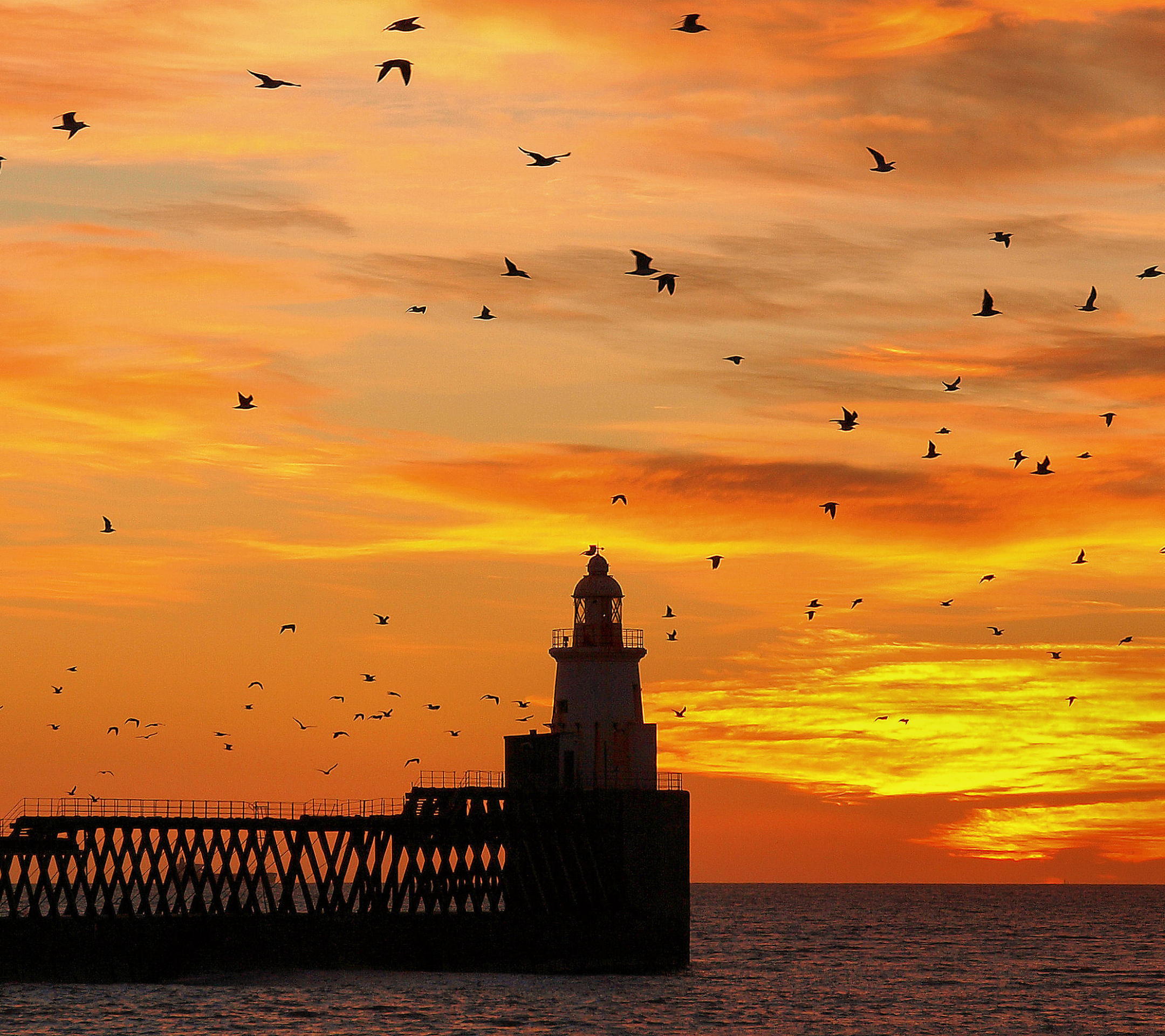 Descarga gratis la imagen Cielo, Horizonte, Pájaro, Océano, Faro, Ave, Atardecer, Hecho Por El Hombre, Color Naranja), Puesta De Sol en el escritorio de tu PC