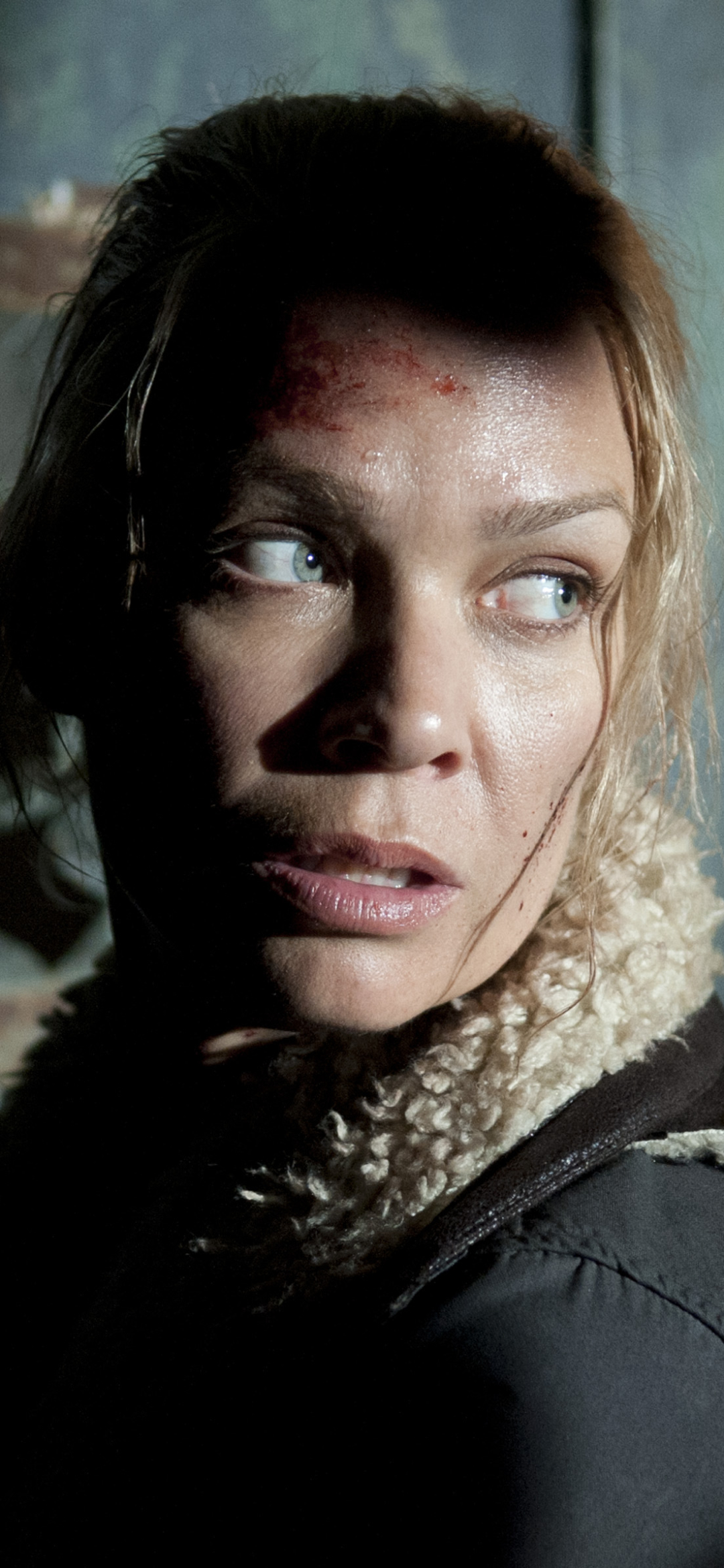 Descarga gratuita de fondo de pantalla para móvil de Series De Televisión, The Walking Dead, Andrea (Los Muertos Vivientes), Laurie Holden.