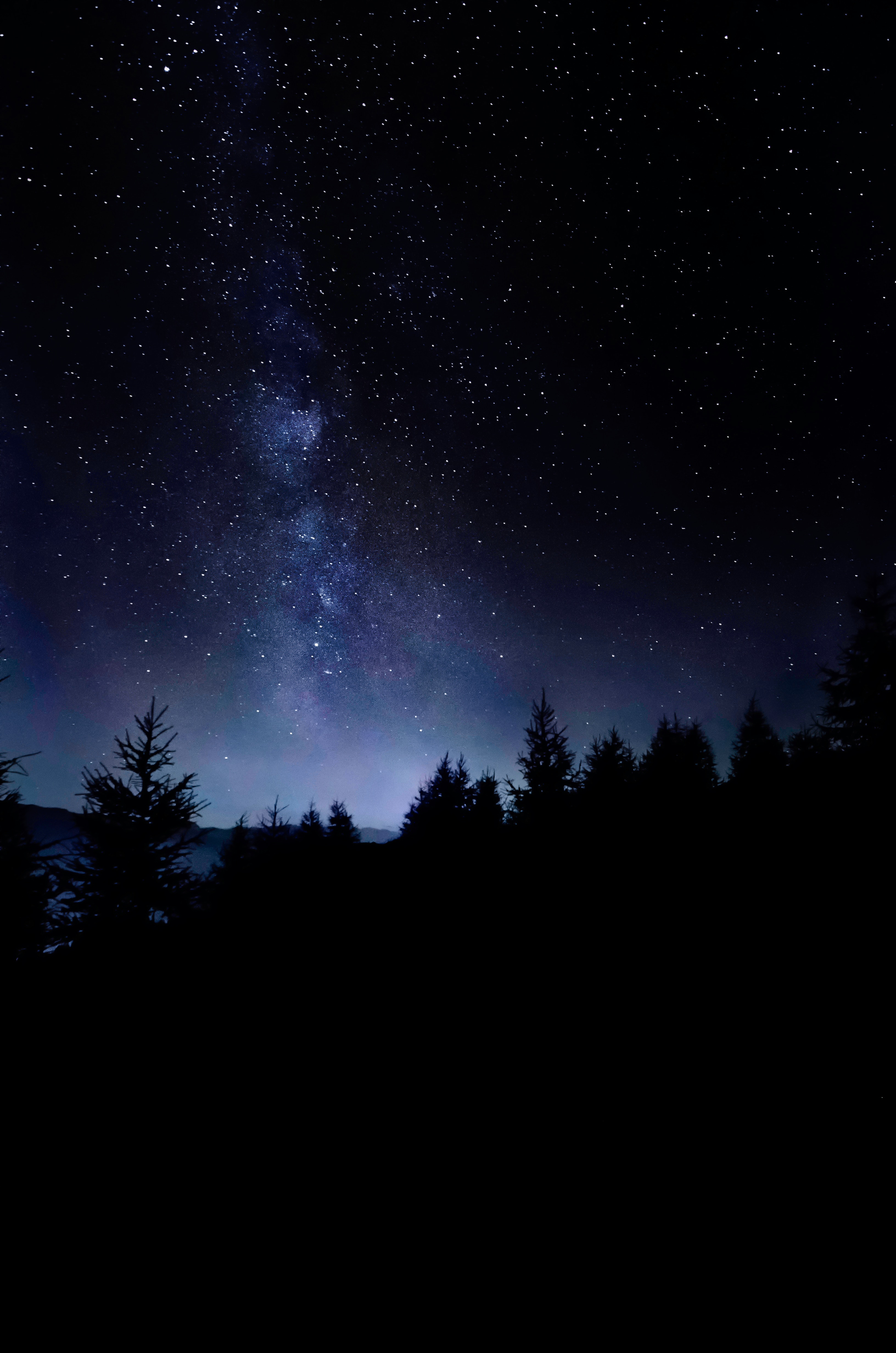 Descarga gratuita de fondo de pantalla para móvil de Árboles, Oscuro, Cielo Estrellado, Estrellas, Noche, Naturaleza.