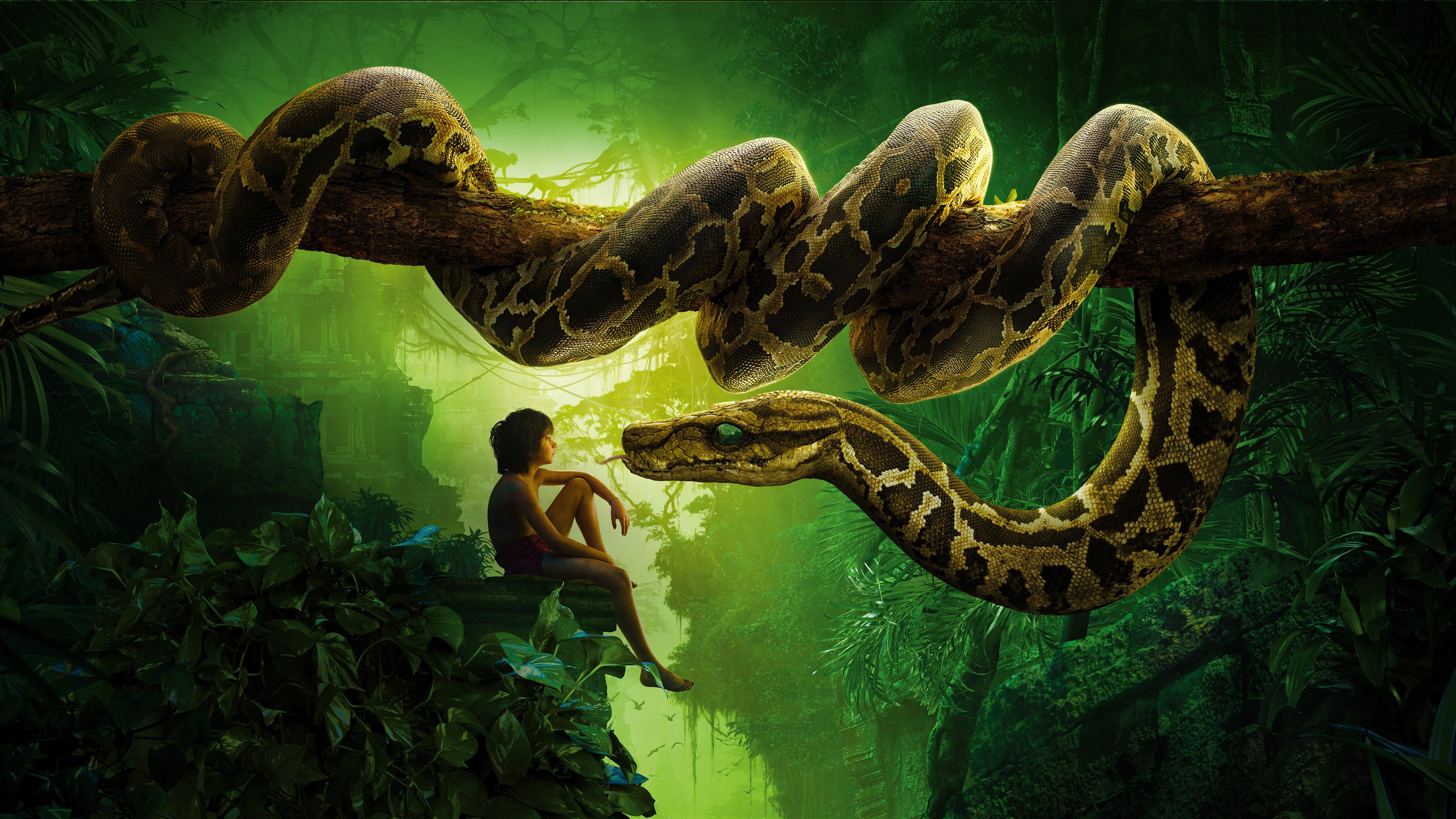 389630 descargar fondo de pantalla kaa (libro de la selva), películas, el libro de la selva (2016), mowgli, serpiente, el libro de la selva: protectores de pantalla e imágenes gratis