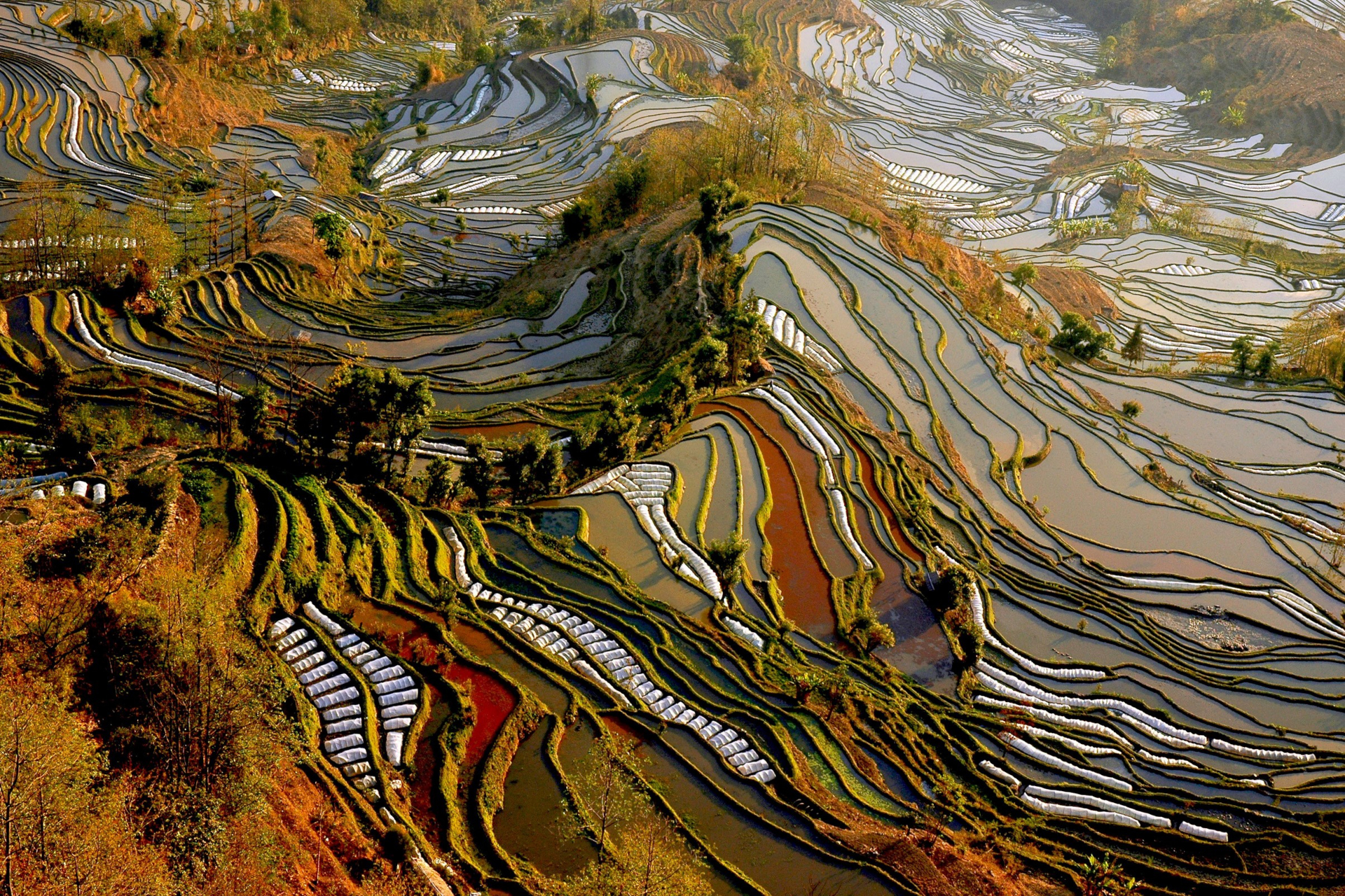 Free download wallpaper China, Man Made, Rice Terrace on your PC desktop