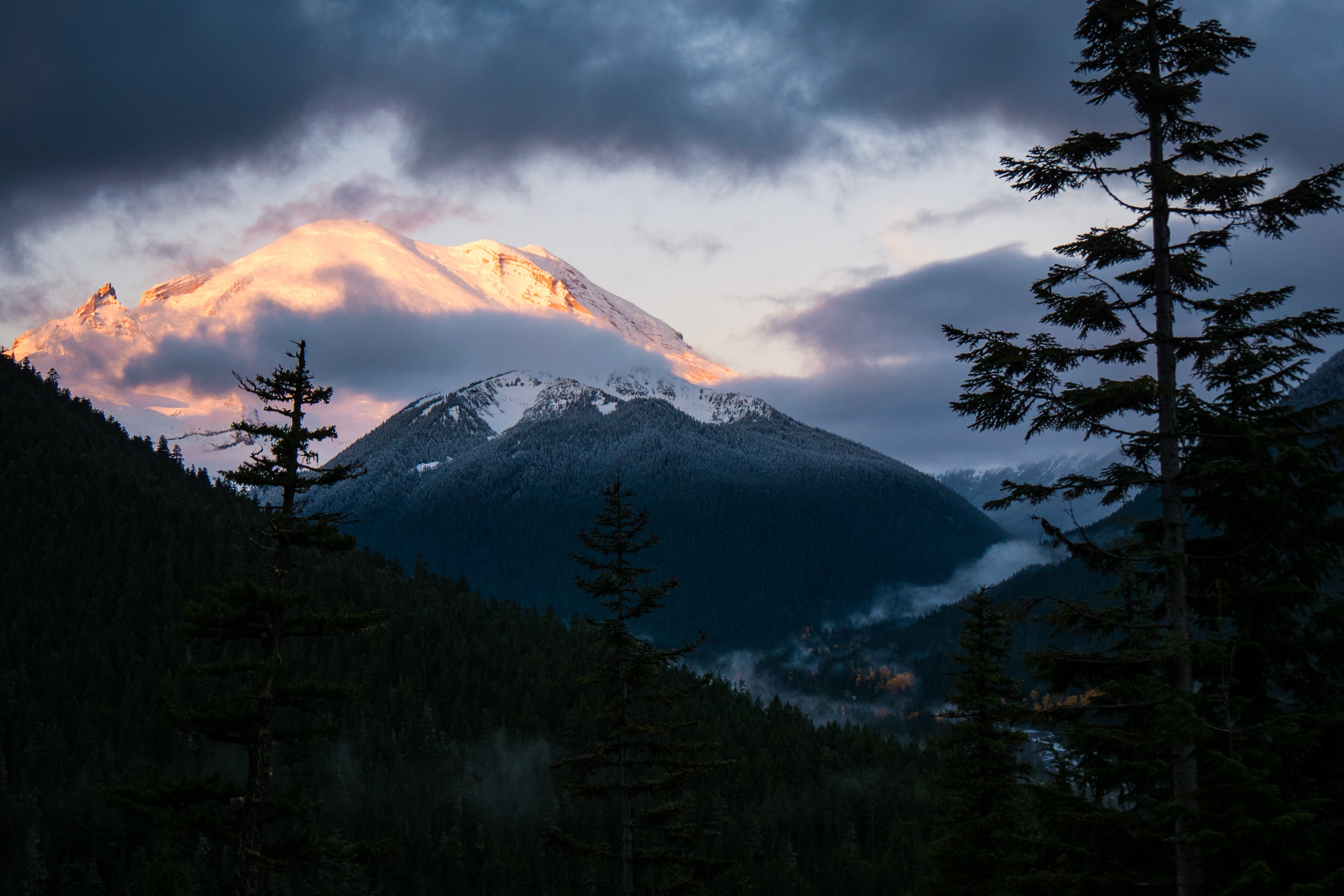 Handy-Wallpaper Tal, Vereinigte Staaten Von Amerika, Berge, Mount Rainier, Erde/natur kostenlos herunterladen.