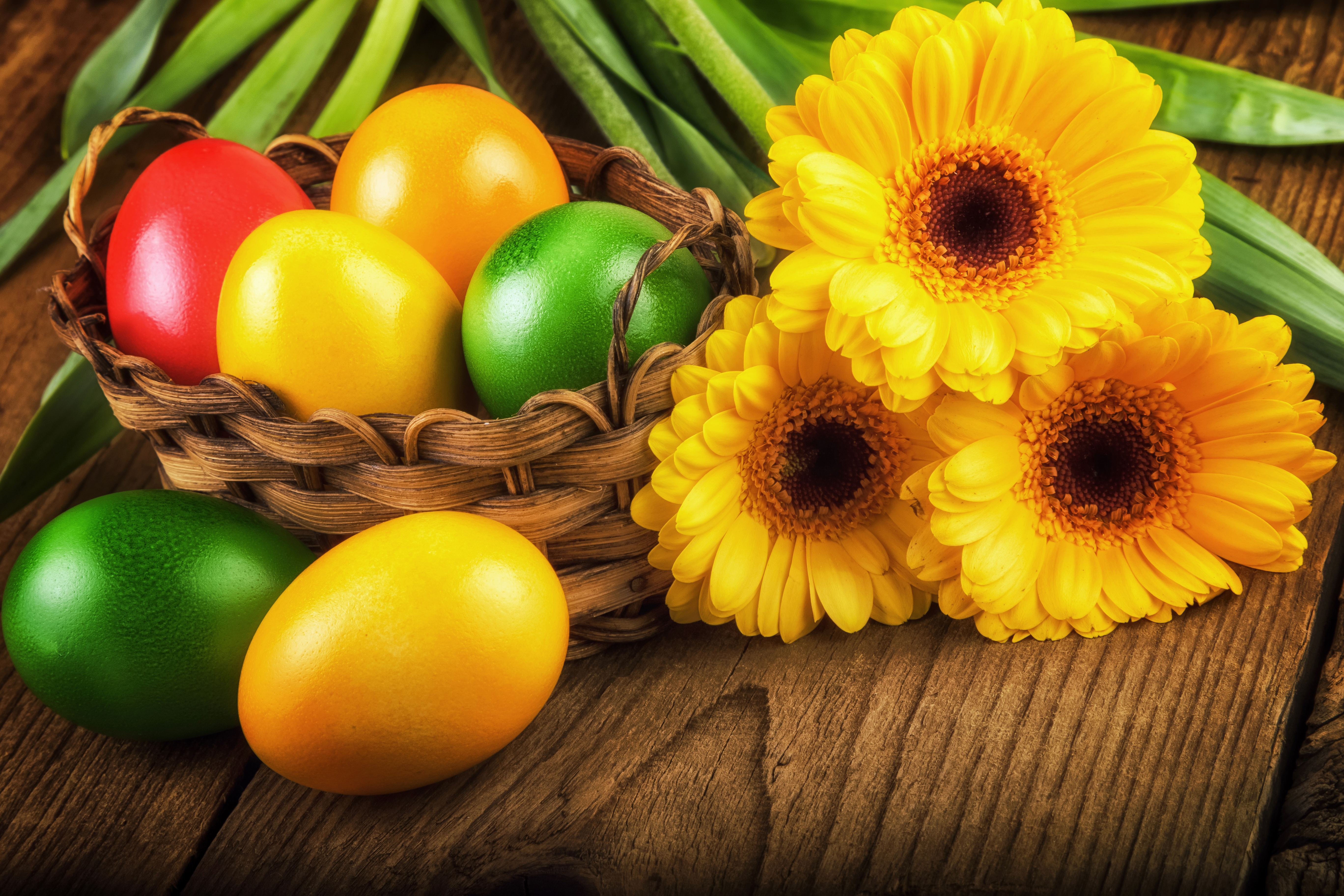Laden Sie das Feiertage, Ostern, Gerbera, Blume, Korb, Hühnerei, Gelbe Blume, Osterei-Bild kostenlos auf Ihren PC-Desktop herunter