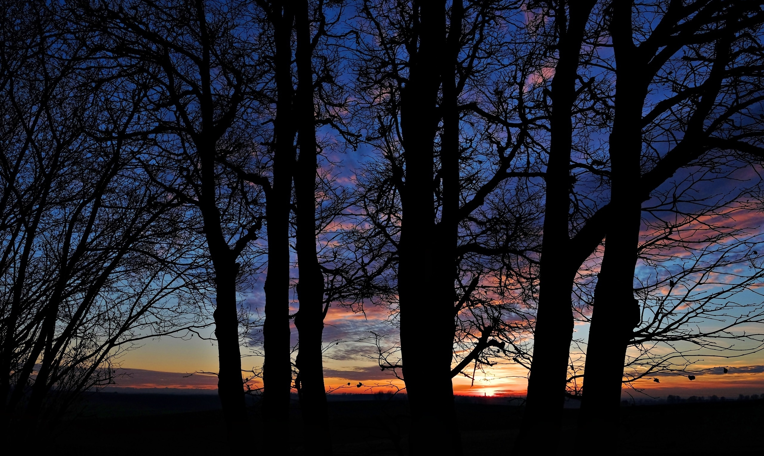 Free download wallpaper Trees, Sunset, Sky, Silhouette, Tree, Earth on your PC desktop