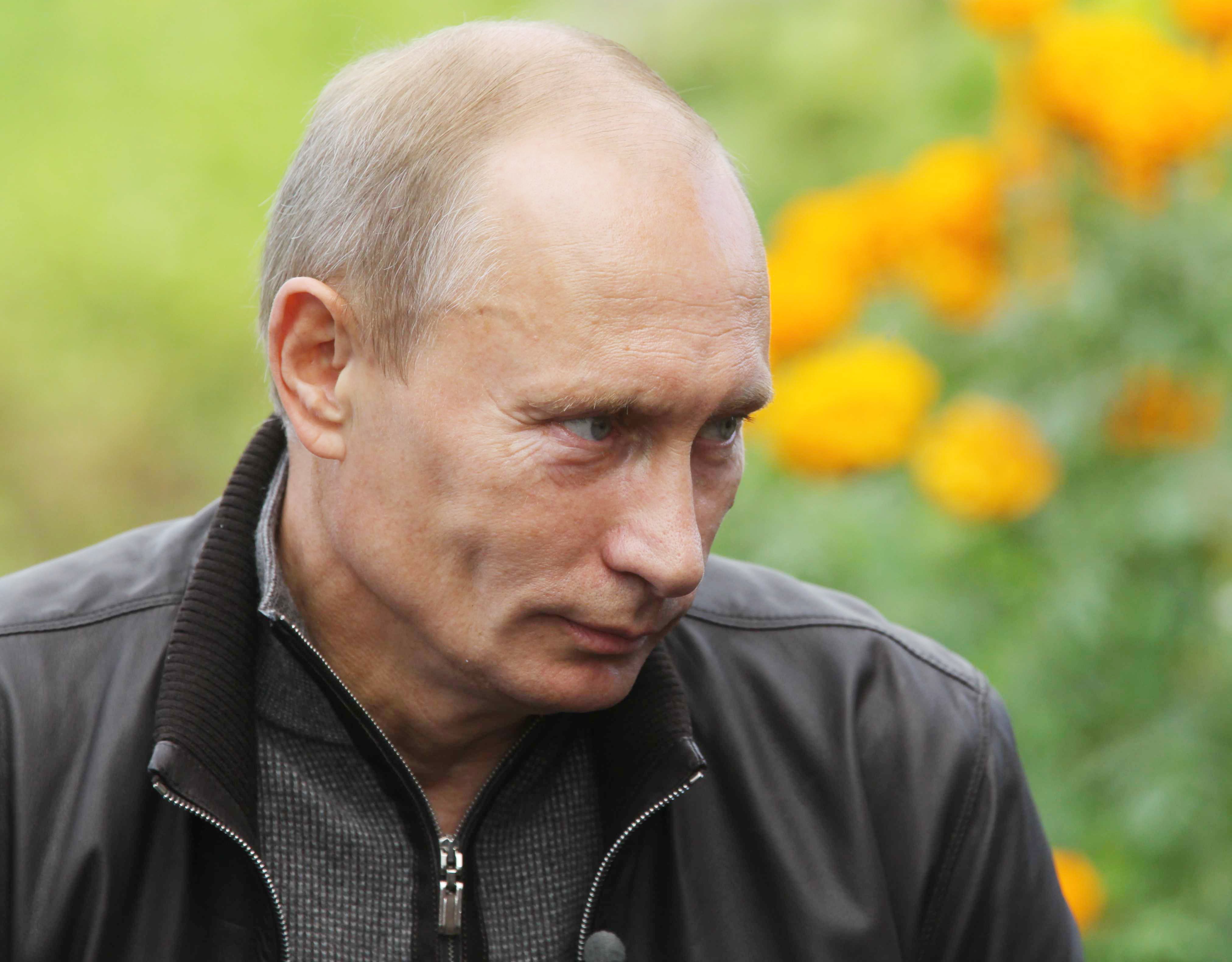 843210壁紙のダウンロード有名人, ウラジミール・プーチン, 大統領, ロシア-スクリーンセーバーと写真を無料で