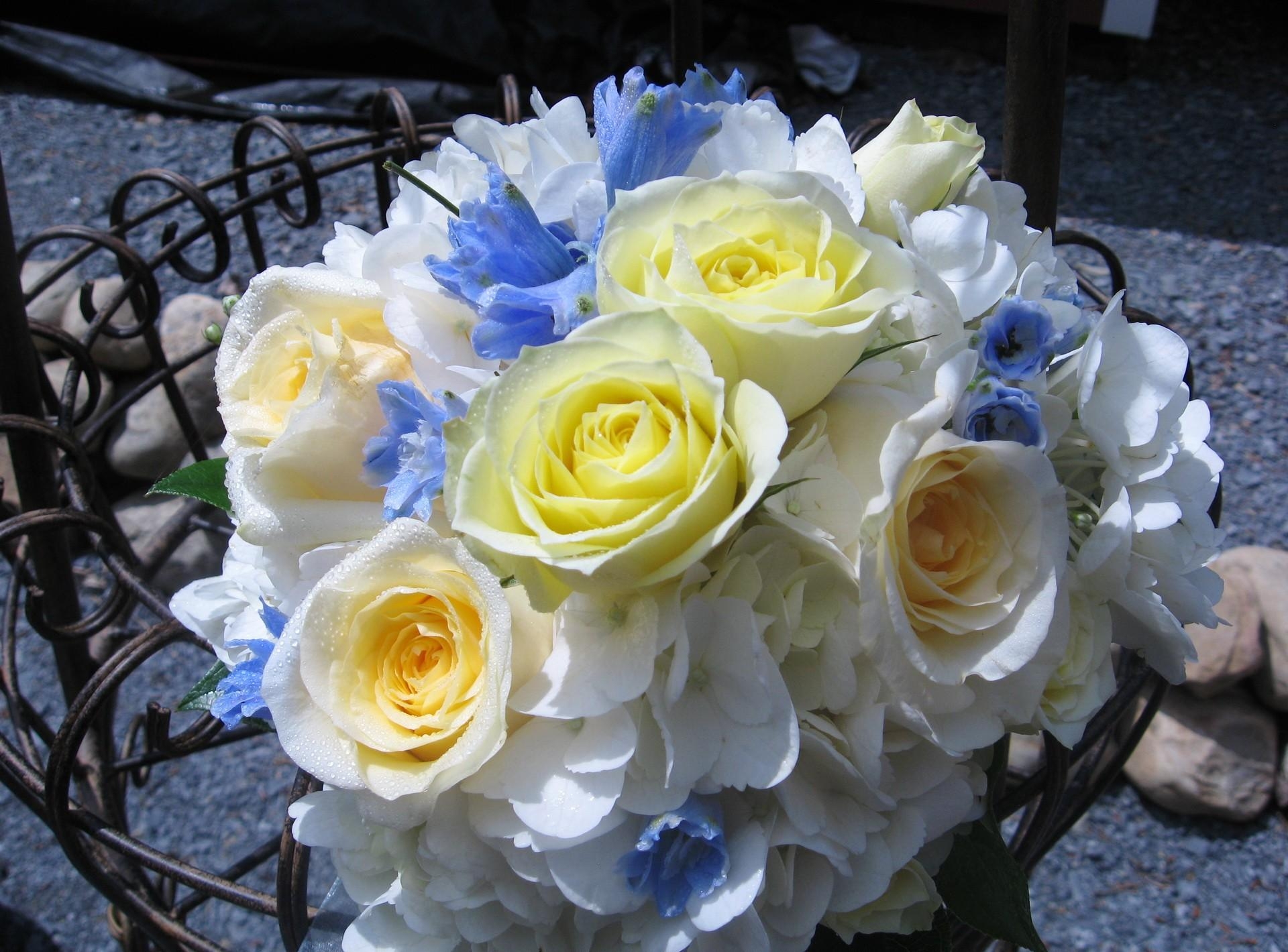 flowers, roses, bouquet, gorgeous, chic, hydrangea