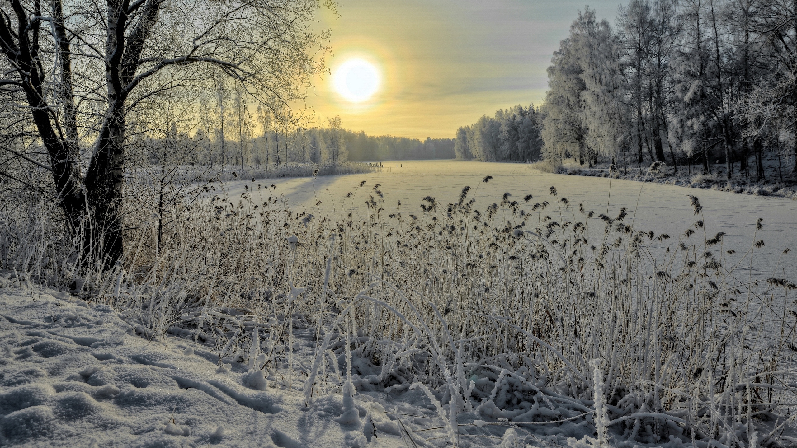 Téléchargez des papiers peints mobile Hiver, Terre/nature gratuitement.