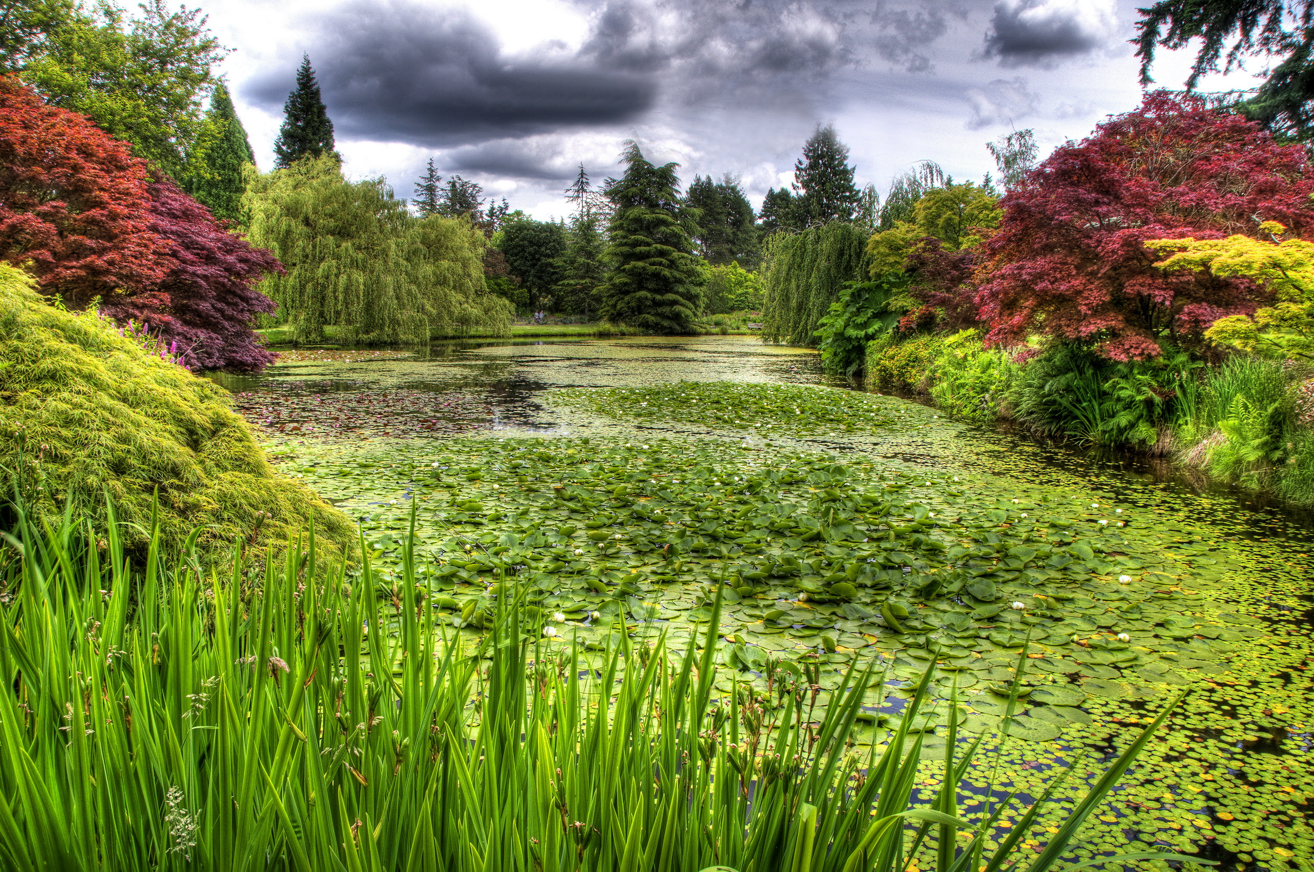 Laden Sie das Park, Fotografie-Bild kostenlos auf Ihren PC-Desktop herunter