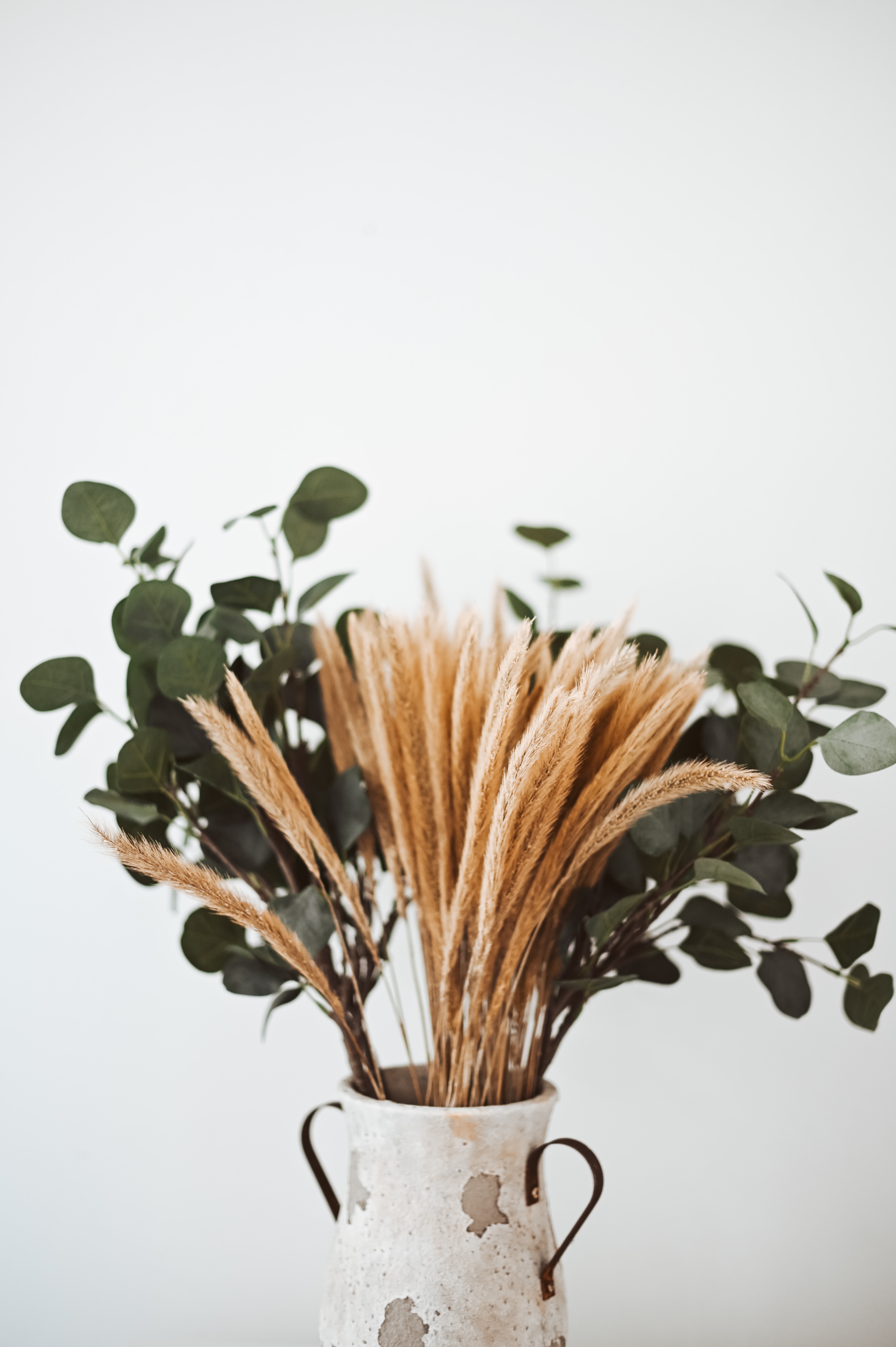 bouquet, flowers, cones, branches, vase, spikelets, composition Full HD