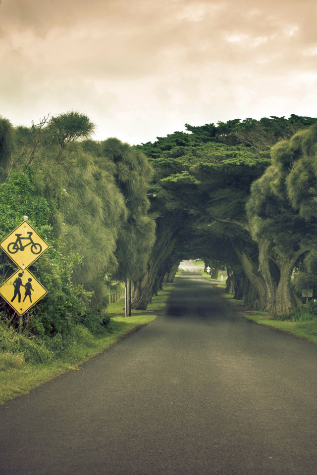 Download mobile wallpaper Road, Tree, Sign, Cloud, Tunnel, Australia, Man Made for free.