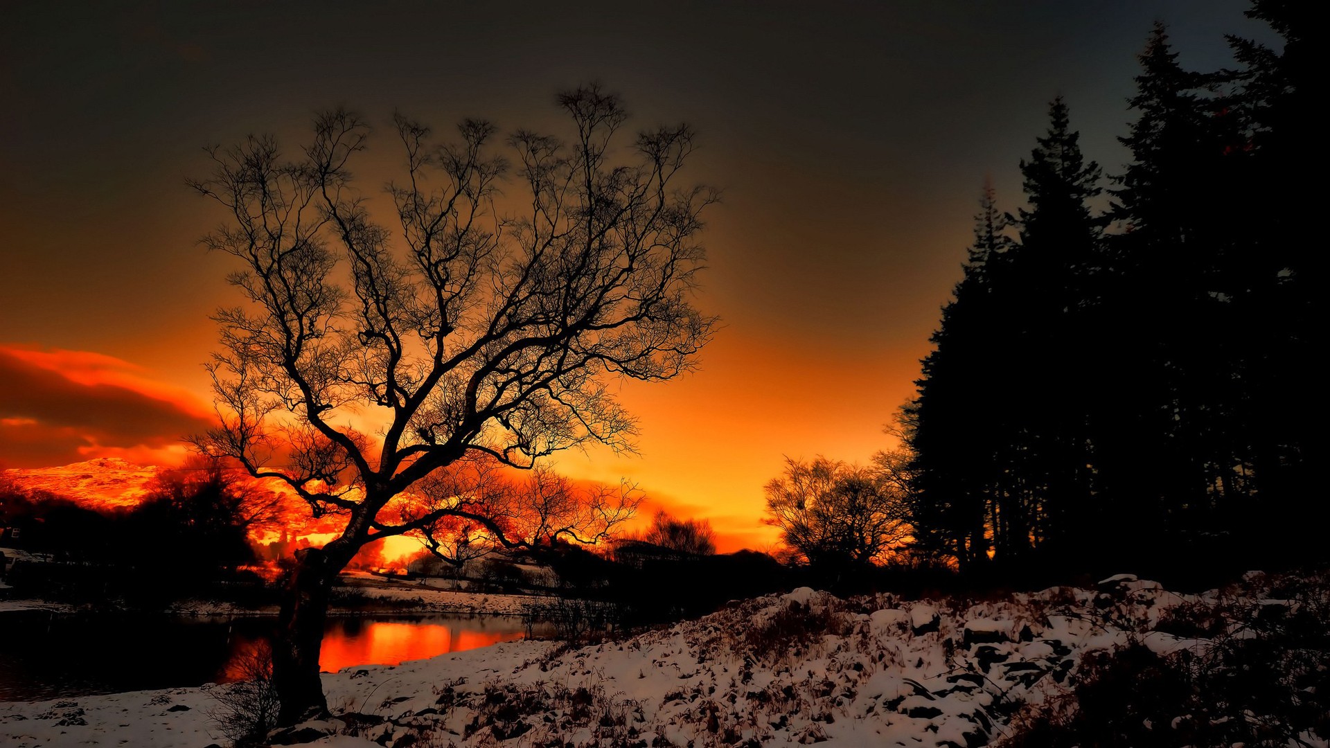 Скачать картинку Зима, Снег, Дерево, Земля/природа, Закат Солнца в телефон бесплатно.