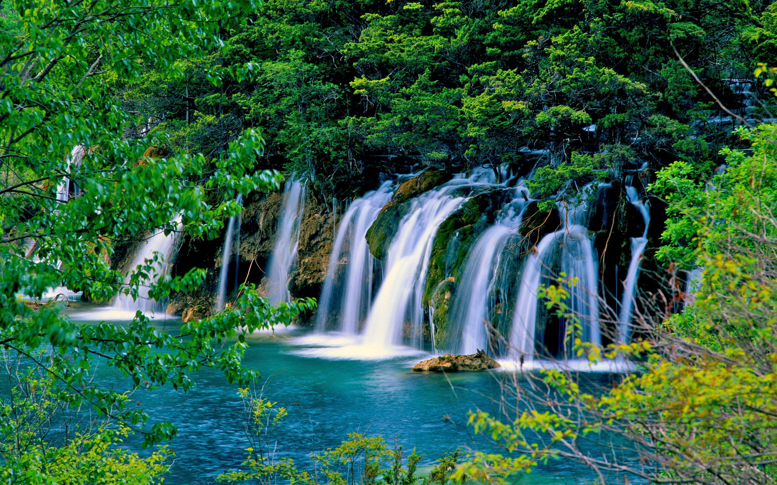 Handy-Wallpaper Natur, Wasserfälle, Wasserfall, Wald, Baum, Erde/natur kostenlos herunterladen.
