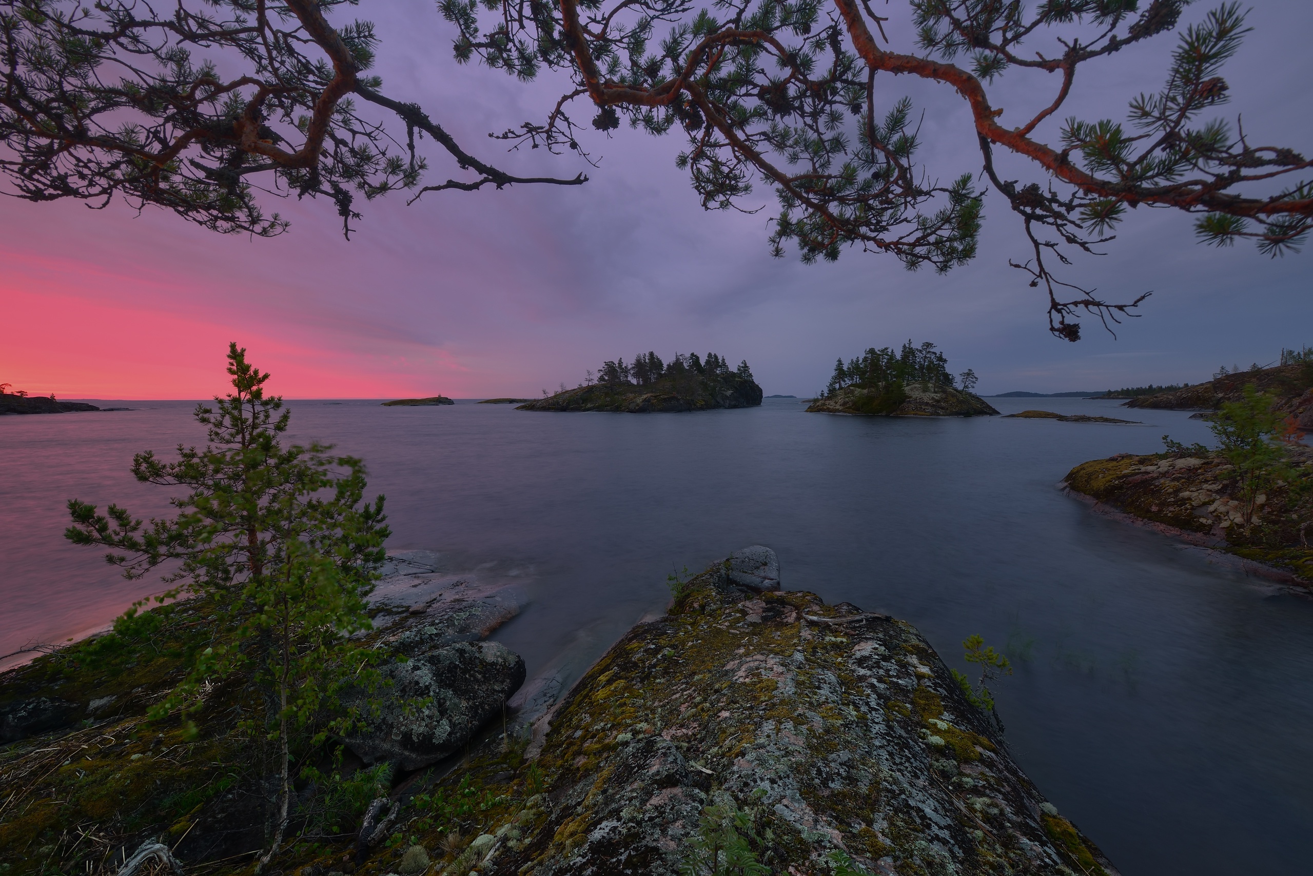 Laden Sie das Landschaft, Seen, See, Baum, Ast, Erde/natur, Ladogasee-Bild kostenlos auf Ihren PC-Desktop herunter