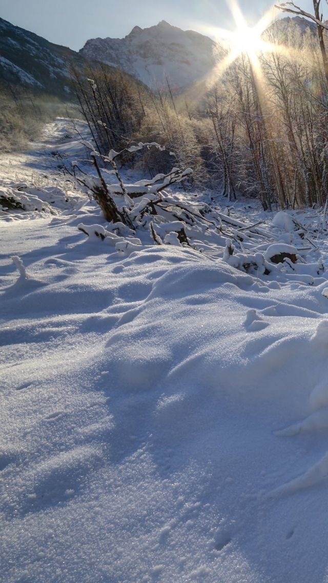 Handy-Wallpaper Winter, Erde/natur kostenlos herunterladen.