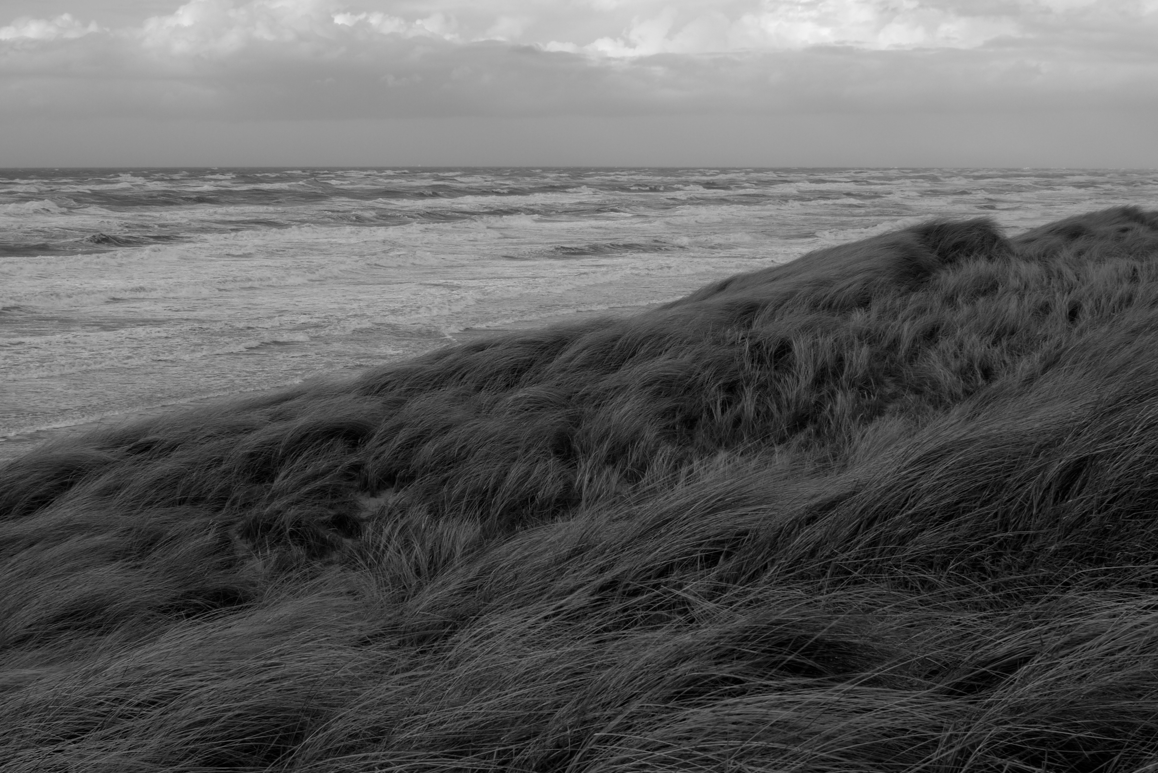 Baixe gratuitamente a imagem Paisagem, Natureza, Grama, Mar, Costa, Bw, Chb na área de trabalho do seu PC