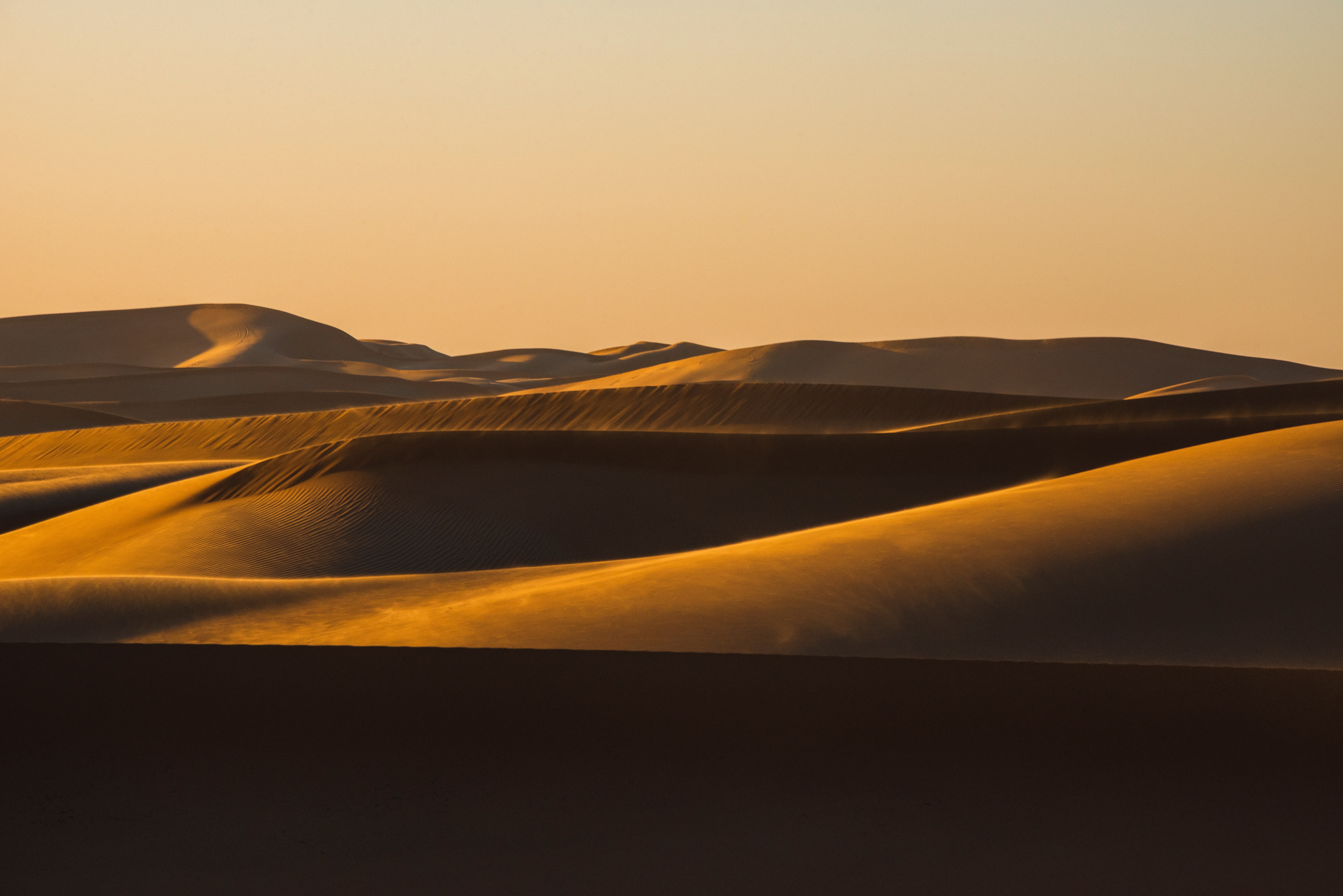 141925 télécharger le fond d'écran nature, sable, désert, dunes, liens - économiseurs d'écran et images gratuitement