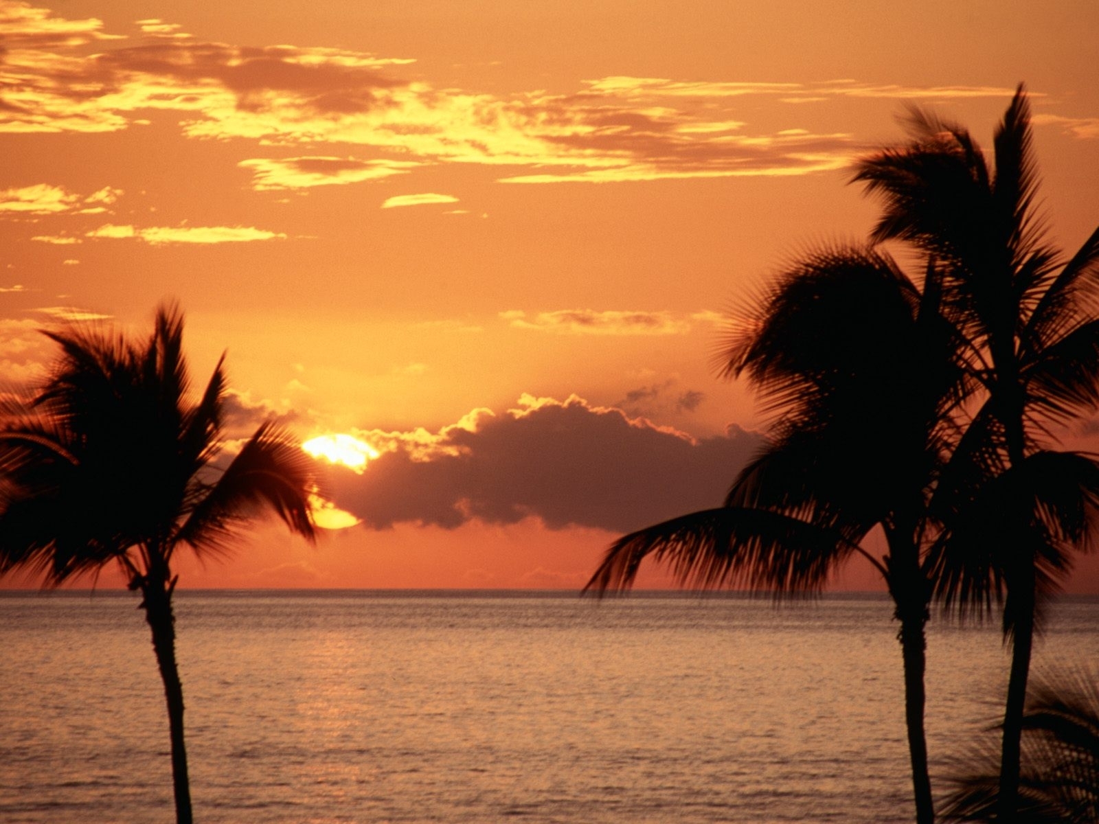 Free download wallpaper Sunset, Sky, Sea, Sun, Landscape, Palms on your PC desktop