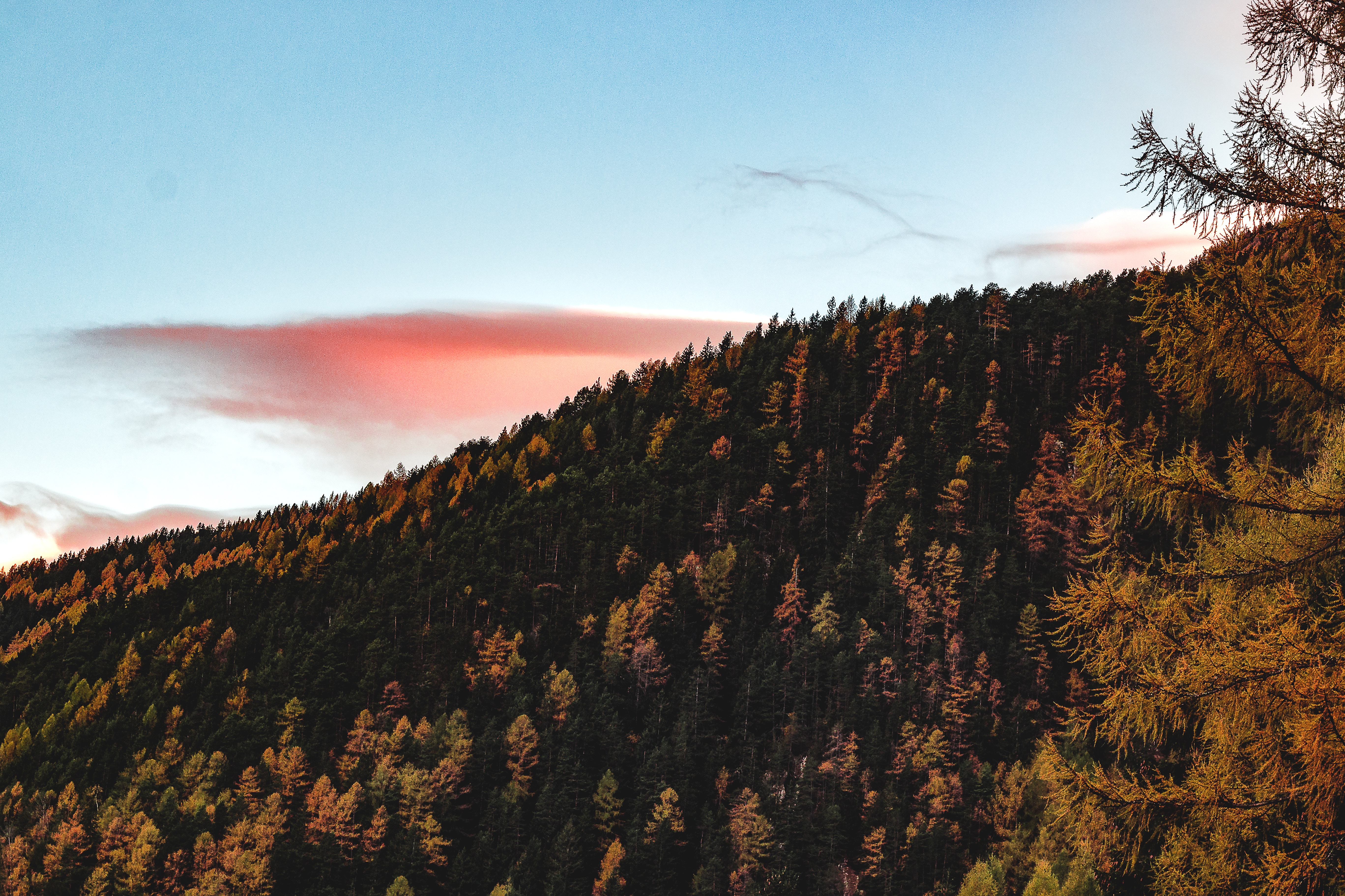 無料モバイル壁紙自然, 木, 標高, スカイ, 秋をダウンロードします。