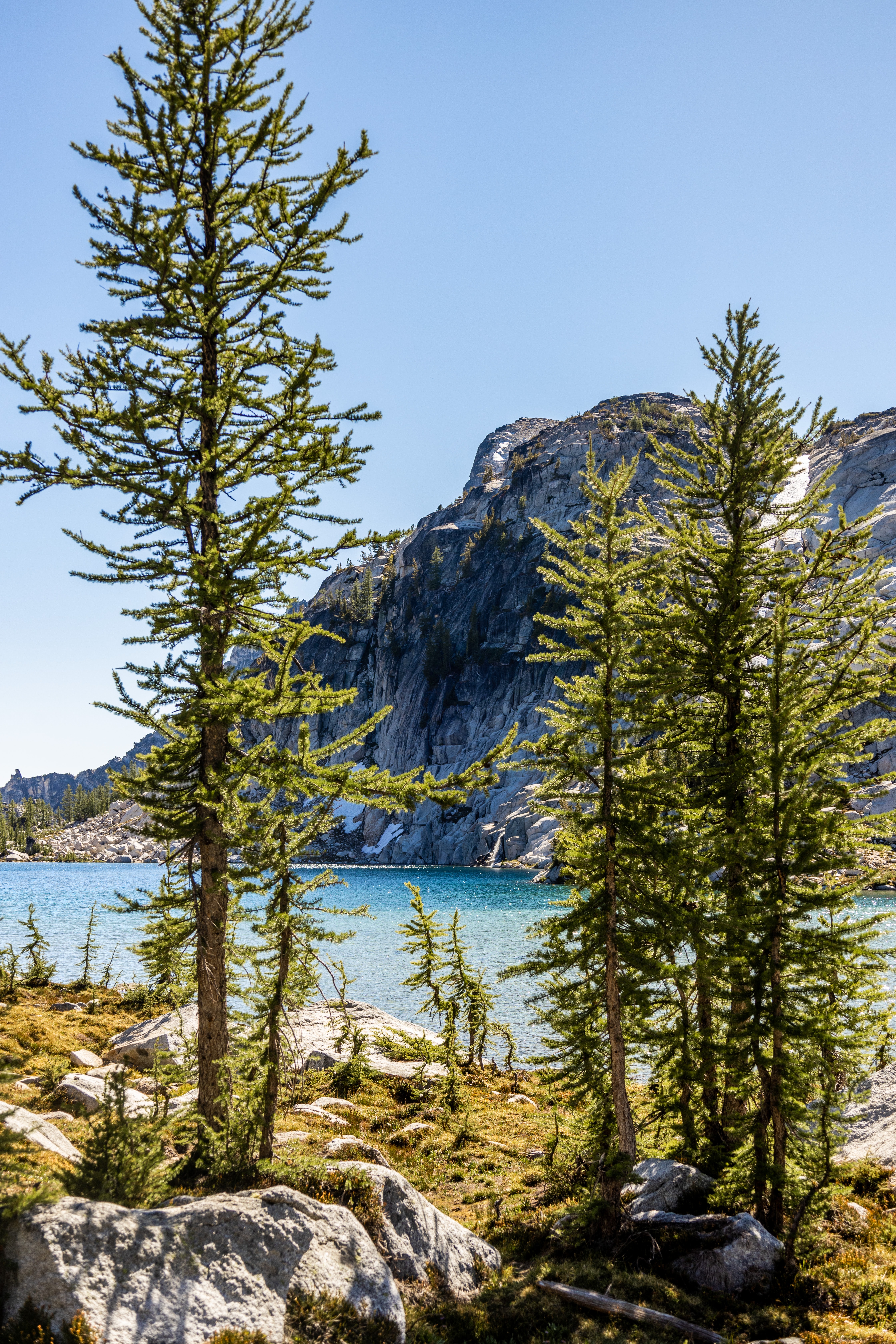 Download mobile wallpaper Pine, Lake, Trees, Mountain, Nature for free.