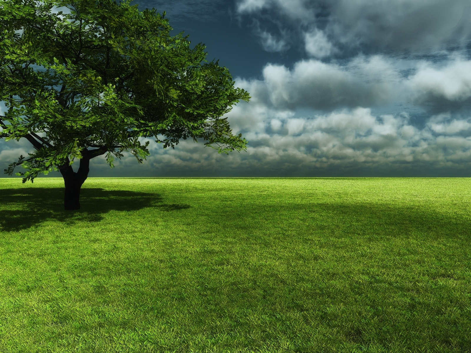 Free download wallpaper Landscape, Trees, Grass, Sky on your PC desktop