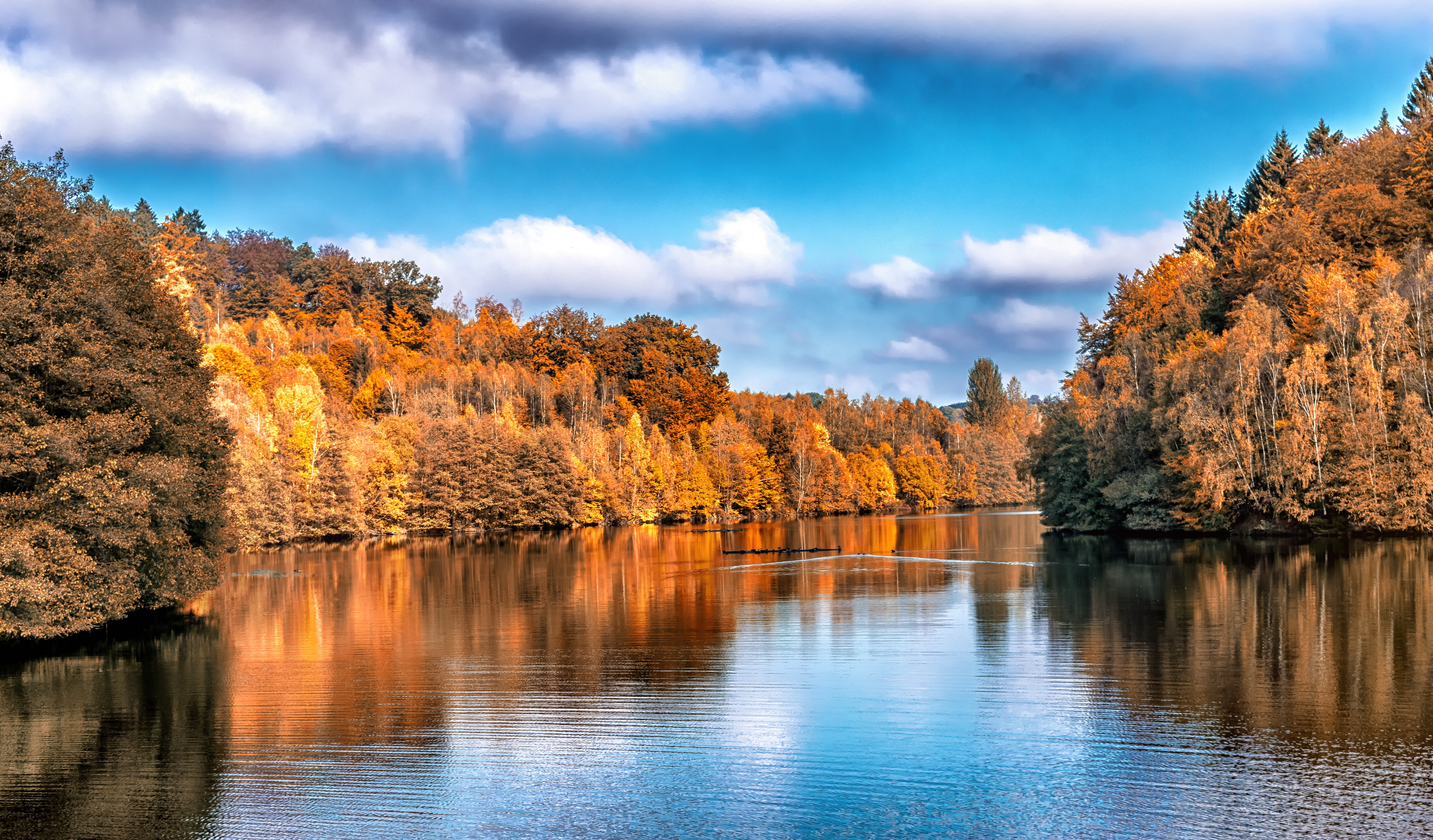 65824 скачать картинку озеро, отражения, деревья, осень, природа - обои и заставки бесплатно