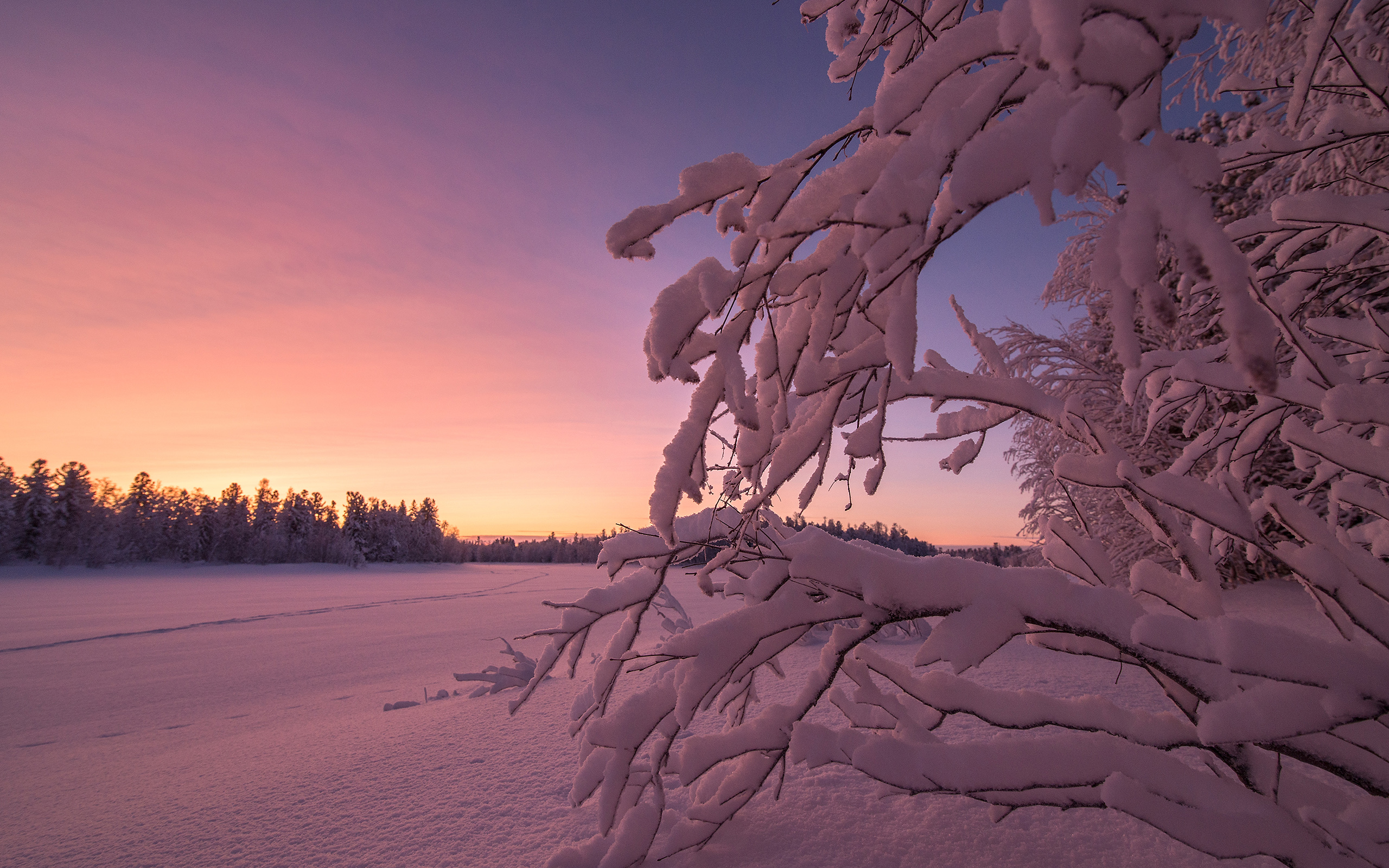 Baixe gratuitamente a imagem Inverno, Pôr Do Sol, Neve, Árvore, Terra/natureza na área de trabalho do seu PC