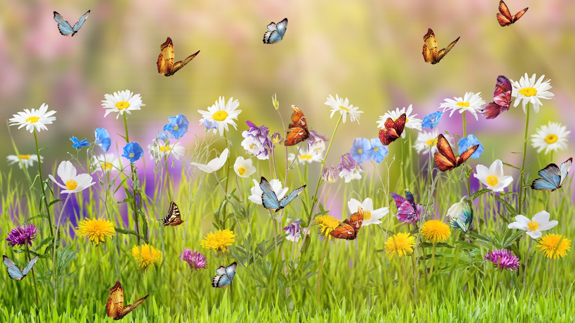 798515 скачать обои весна, трава, бабочка, красочный, цветок, художественные, цвета, луга - заставки и картинки бесплатно