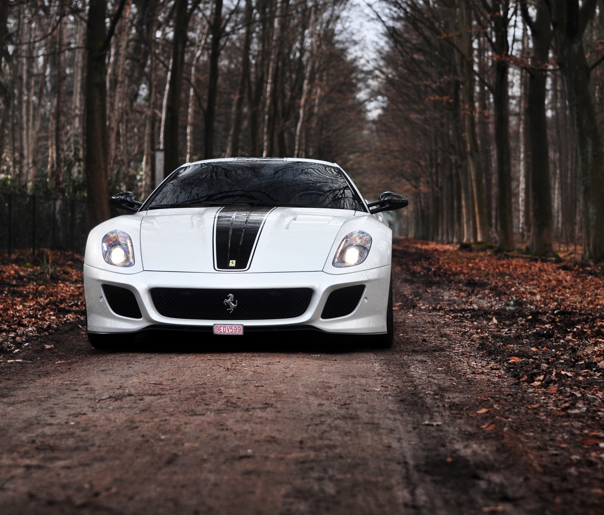 Téléchargez des papiers peints mobile Ferrari, Véhicules gratuitement.