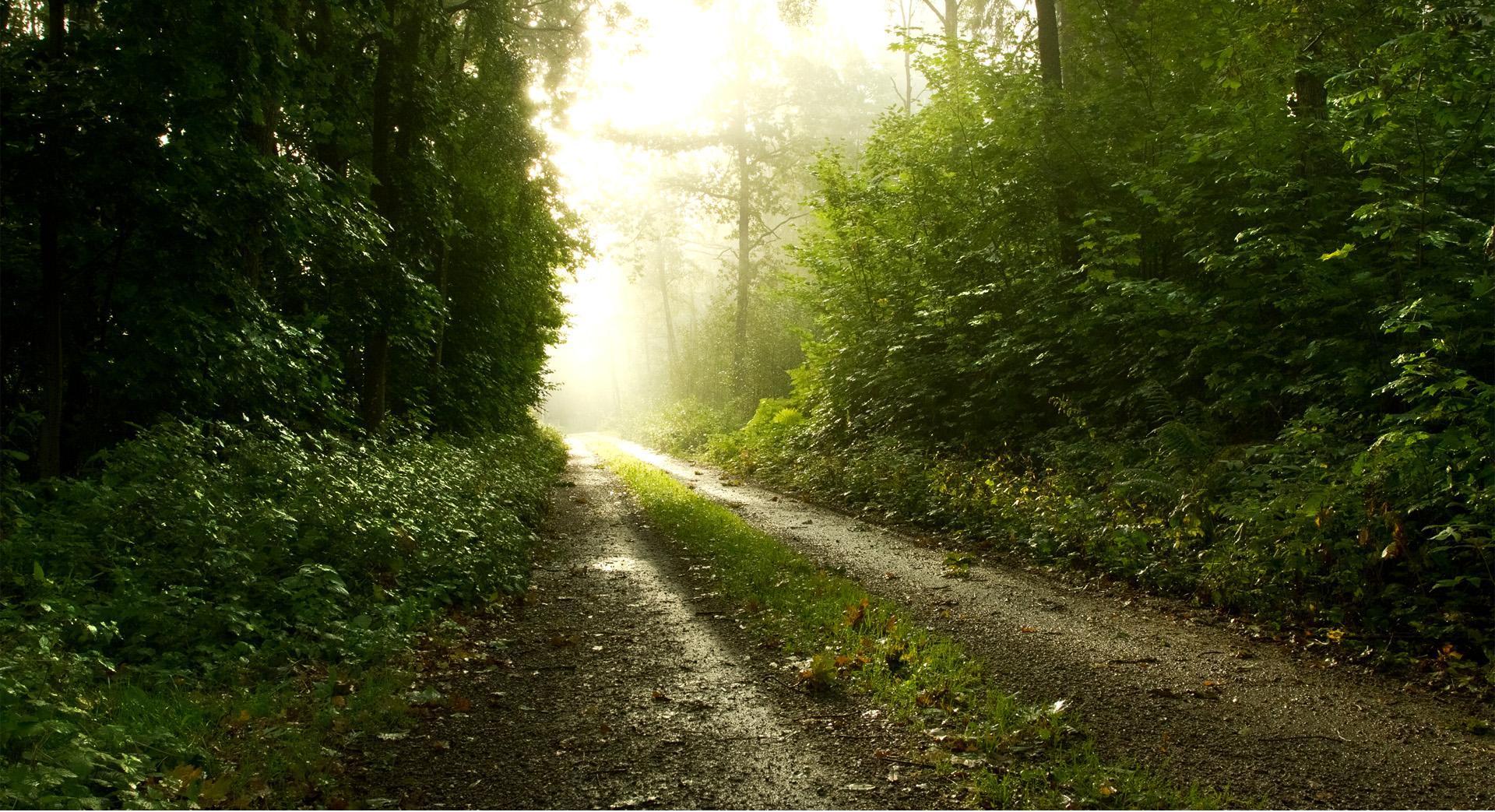 Free download wallpaper Path, Man Made on your PC desktop