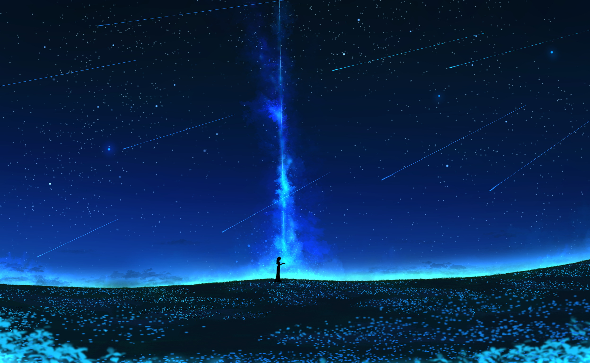 Download mobile wallpaper Anime, Stars, Flower, Silhouette, Original, Shooting Star for free.