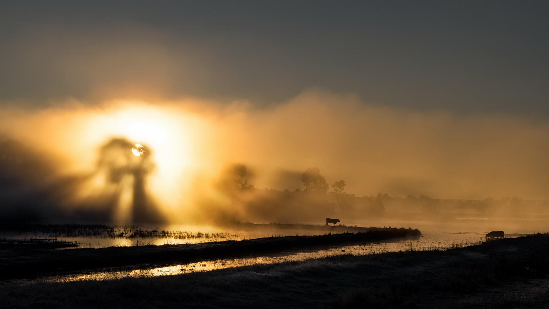 Handy-Wallpaper Landschaft, Natur, Nebel, Sonne, Sonnenstrahl, Erde/natur kostenlos herunterladen.