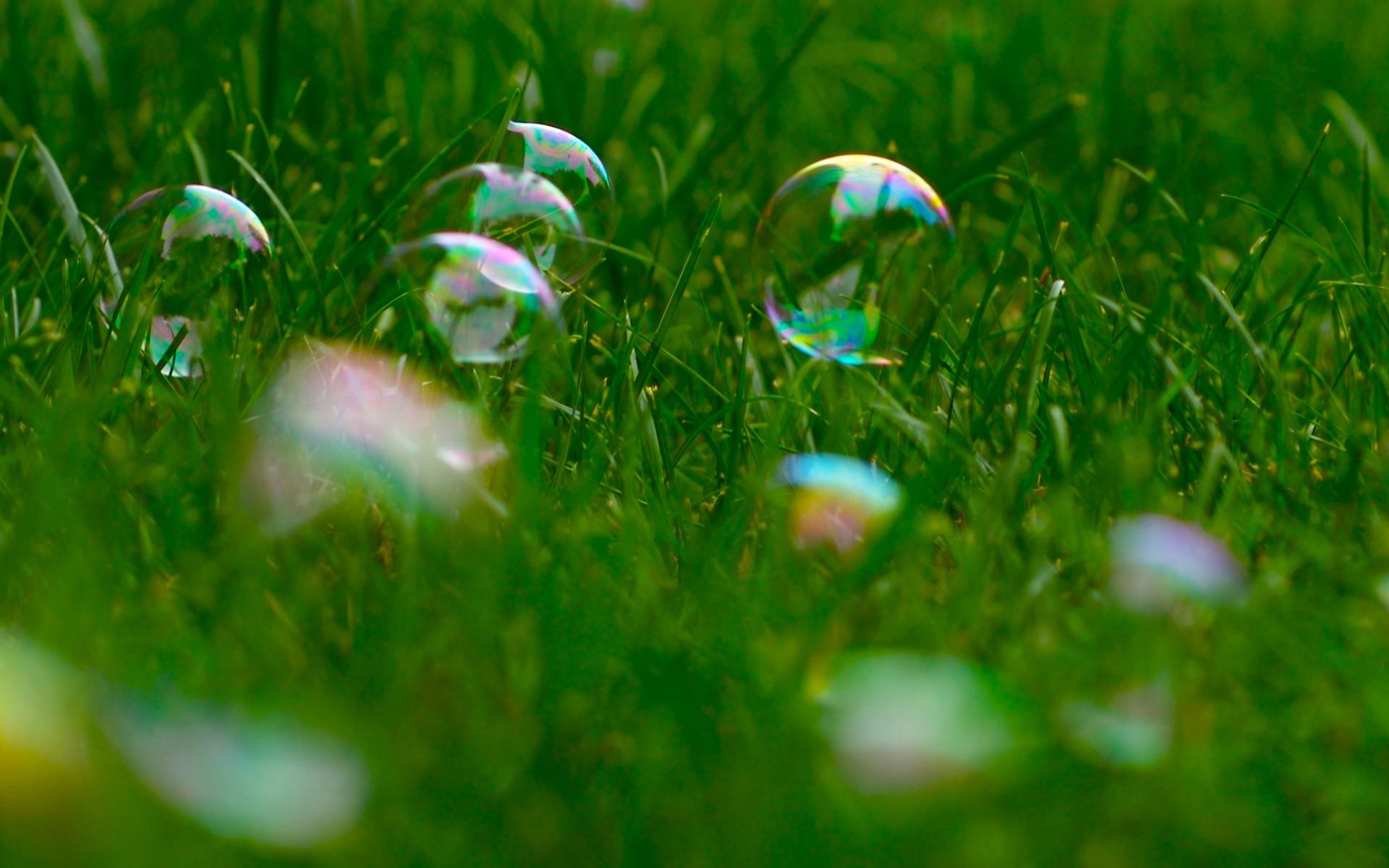 Download mobile wallpaper Grass, Plants, Bubbles for free.