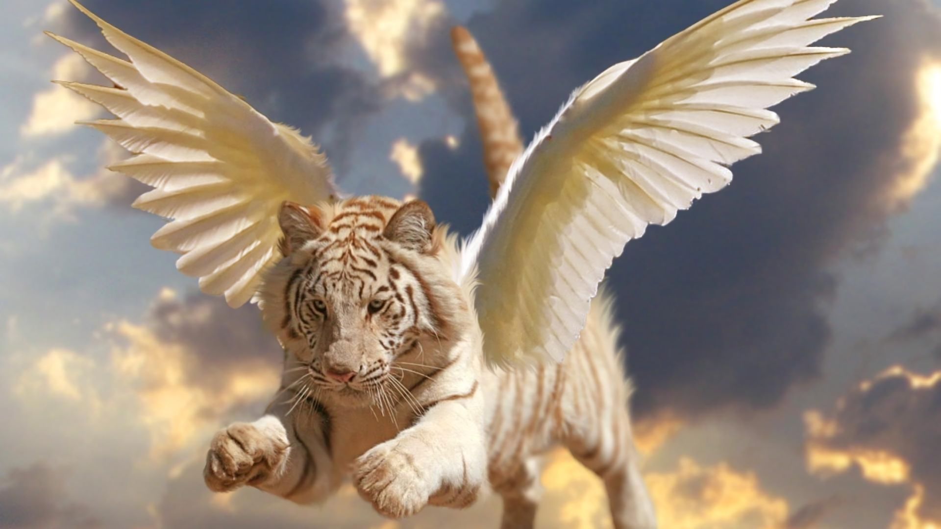 Download mobile wallpaper Fantasy, Tiger, Fantasy Animals for free.