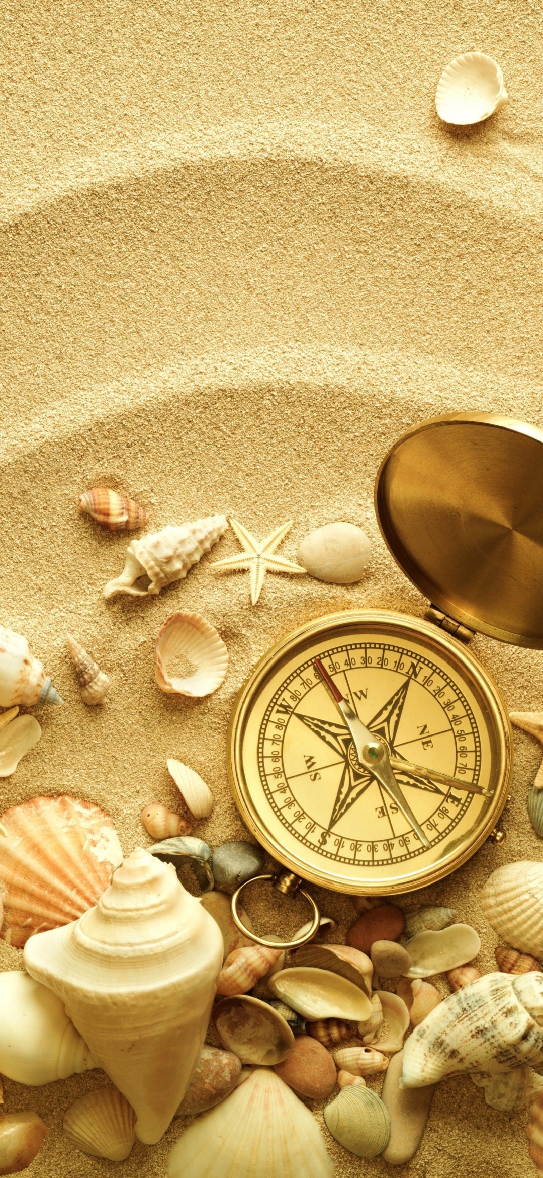 Download mobile wallpaper Shell, Compass, Man Made for free.