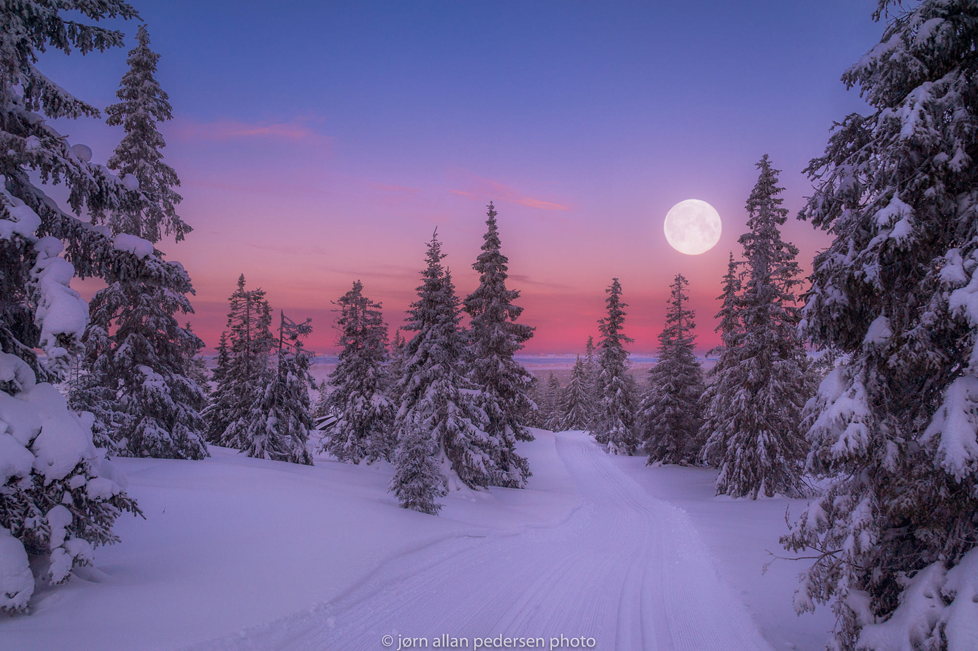 Download mobile wallpaper Winter, Sunset, Moon, Snow, Forest, Tree, Earth for free.