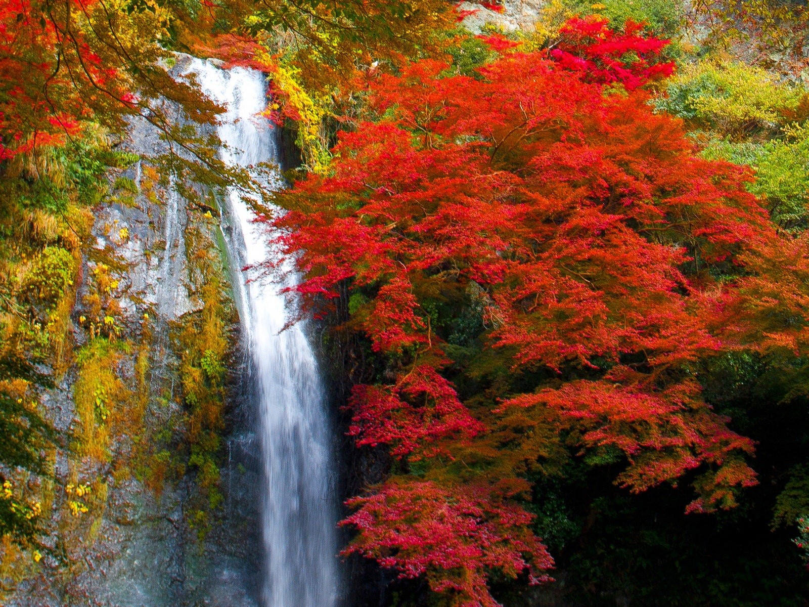 Скачать картинку Осень, Водопады, Водопад, Дерево, Листва, Земля/природа в телефон бесплатно.