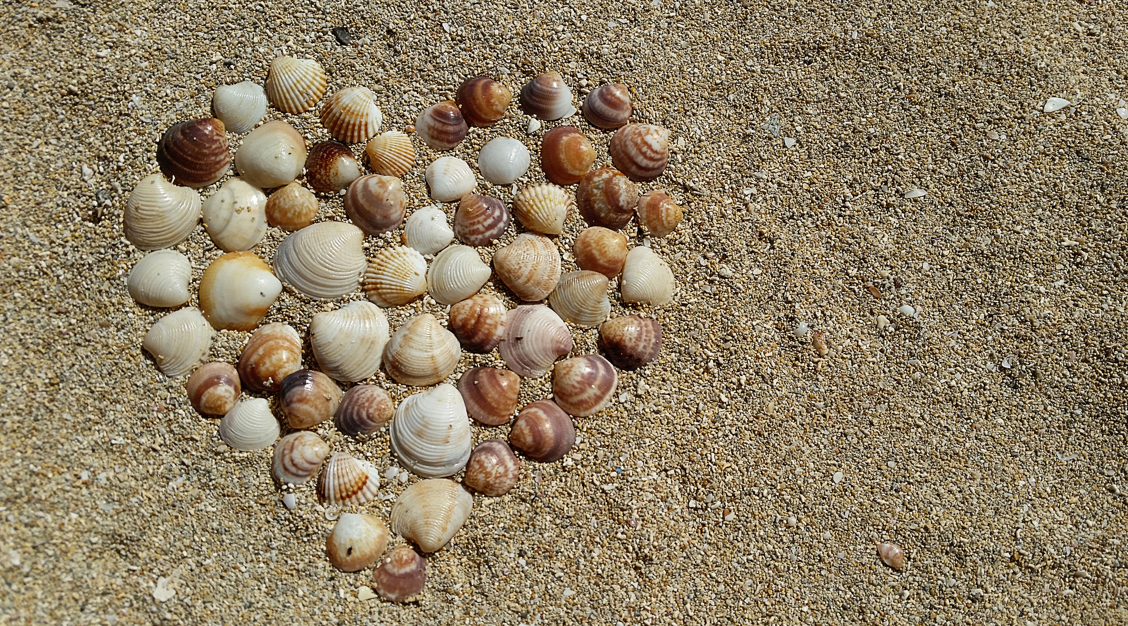 Download mobile wallpaper Nature, Sand, Earth, Shell, Heart Shaped for free.