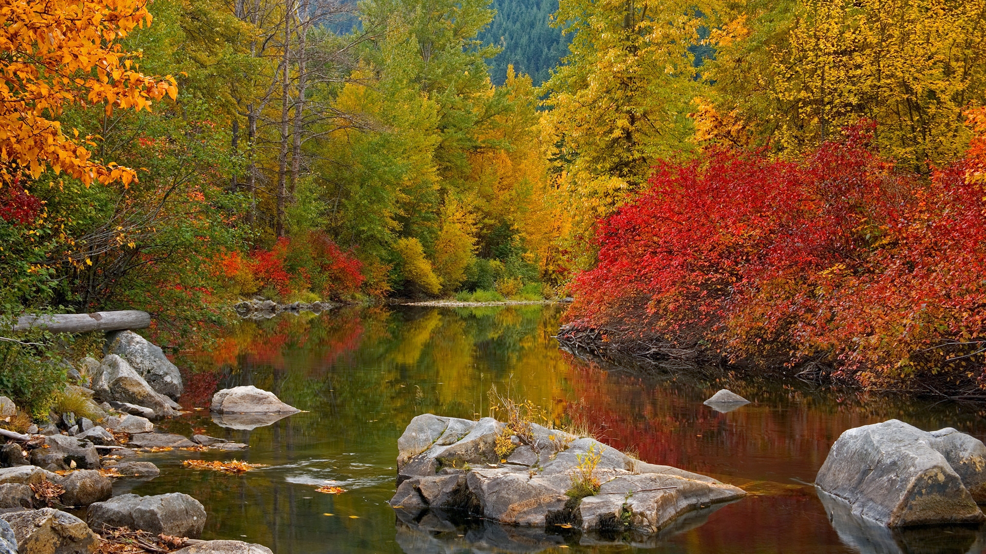 Скачать обои бесплатно Река, Пейзаж, Осень картинка на рабочий стол ПК