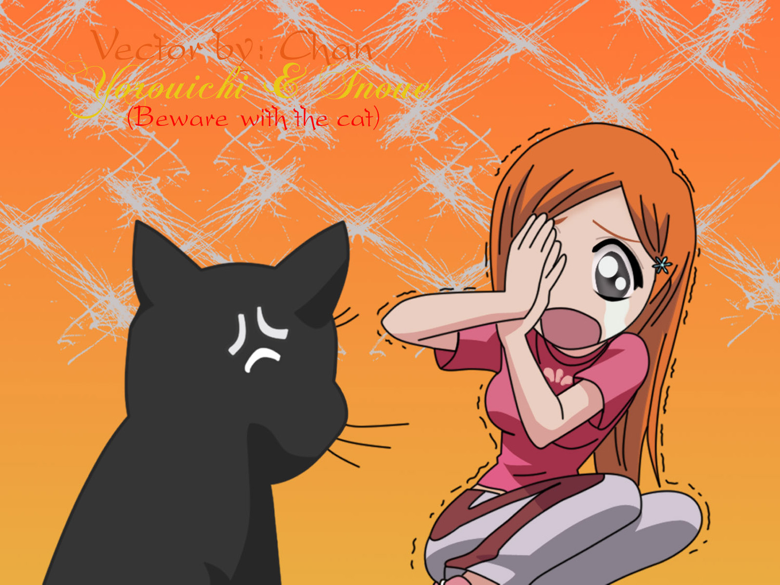 Download mobile wallpaper Orihime Inoue, Yoruichi Shihôin, Bleach, Anime for free.