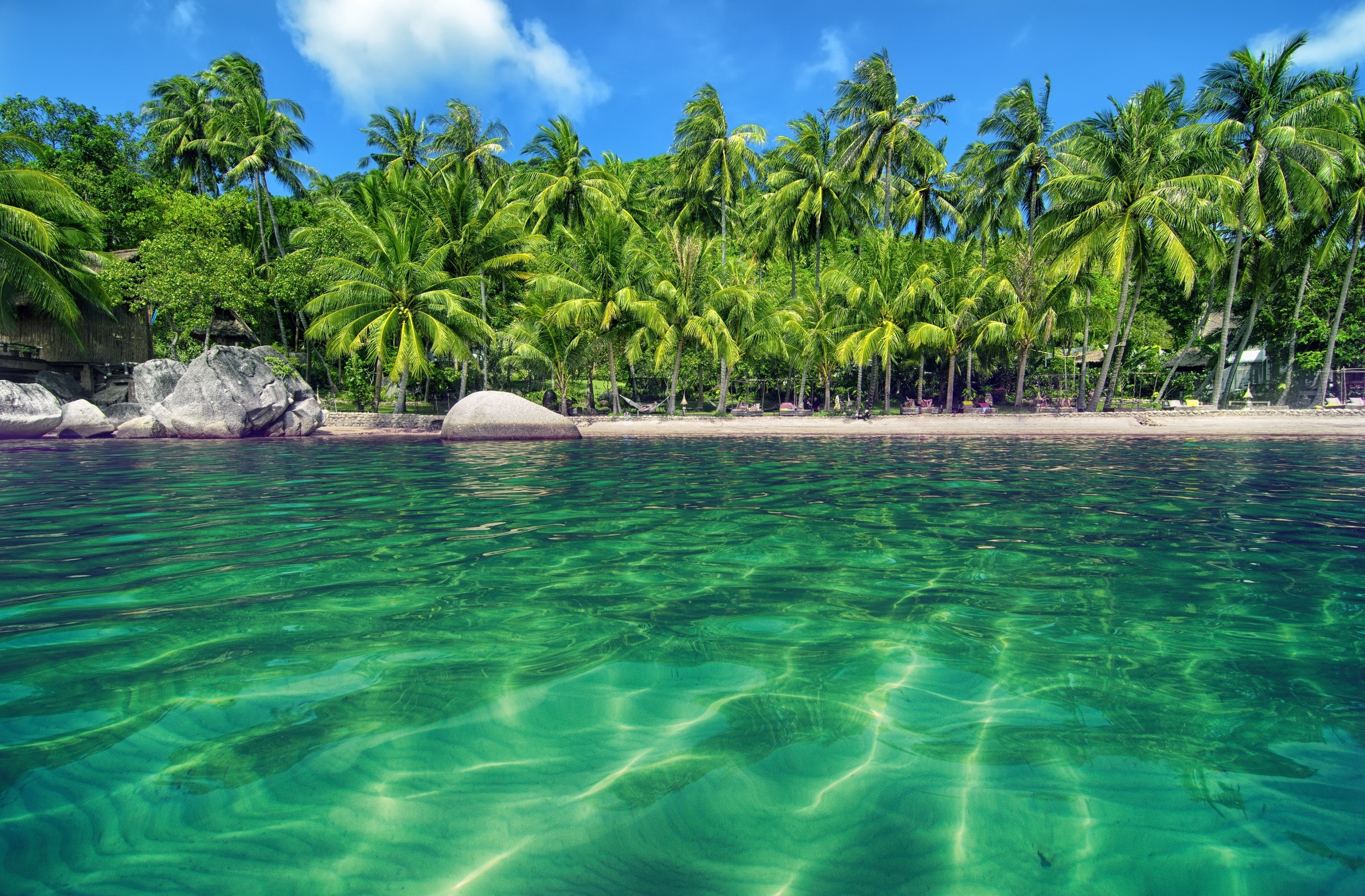 662725 descargar fondo de pantalla laguna, tierra/naturaleza, palmera, mar, zona tropical: protectores de pantalla e imágenes gratis
