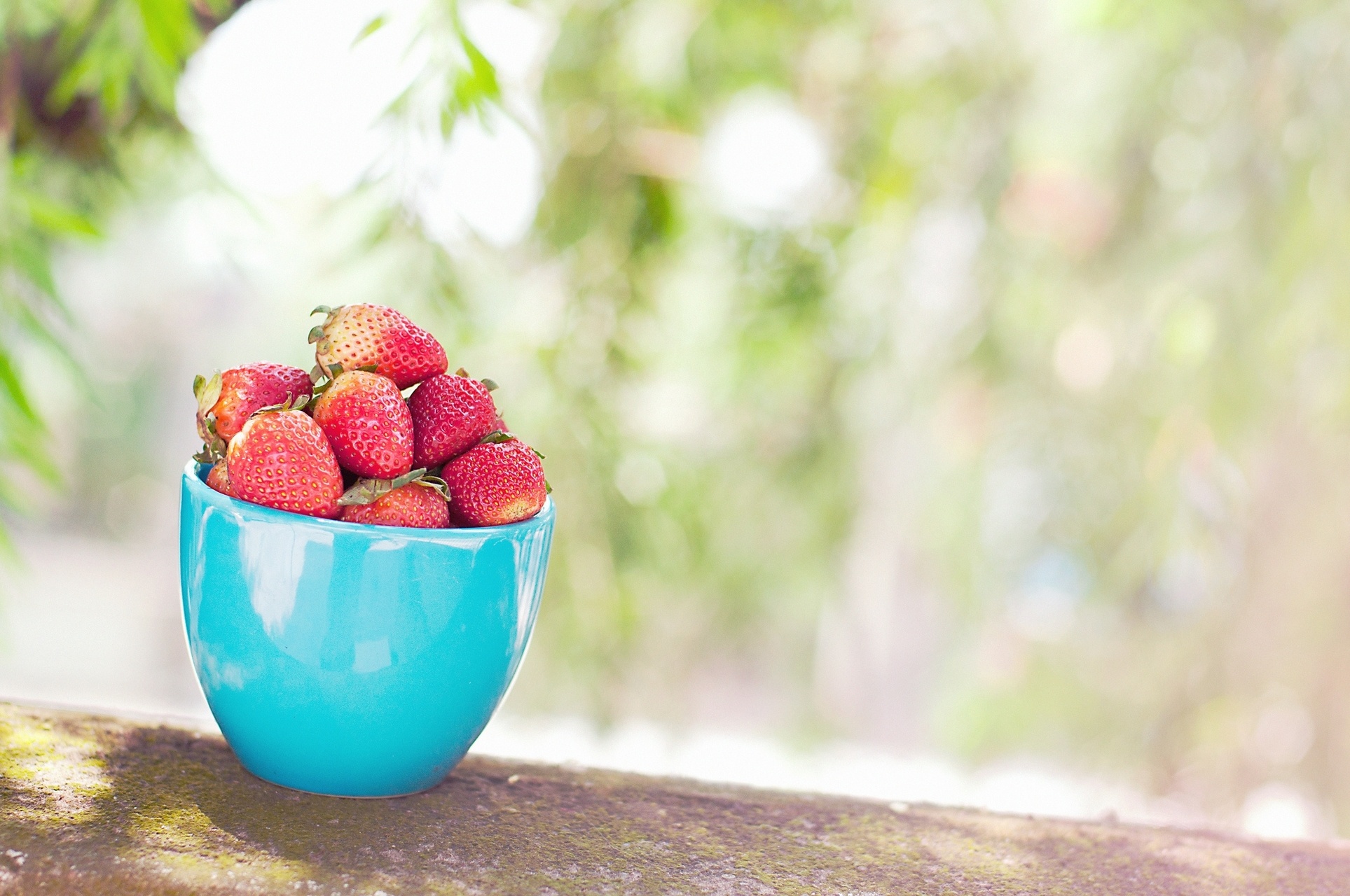 Free download wallpaper Berries, Berry, Food, Strawberry, Cup on your PC desktop