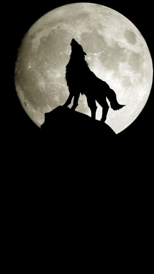Download mobile wallpaper Moon, Wolf, Animal, Wolves for free.