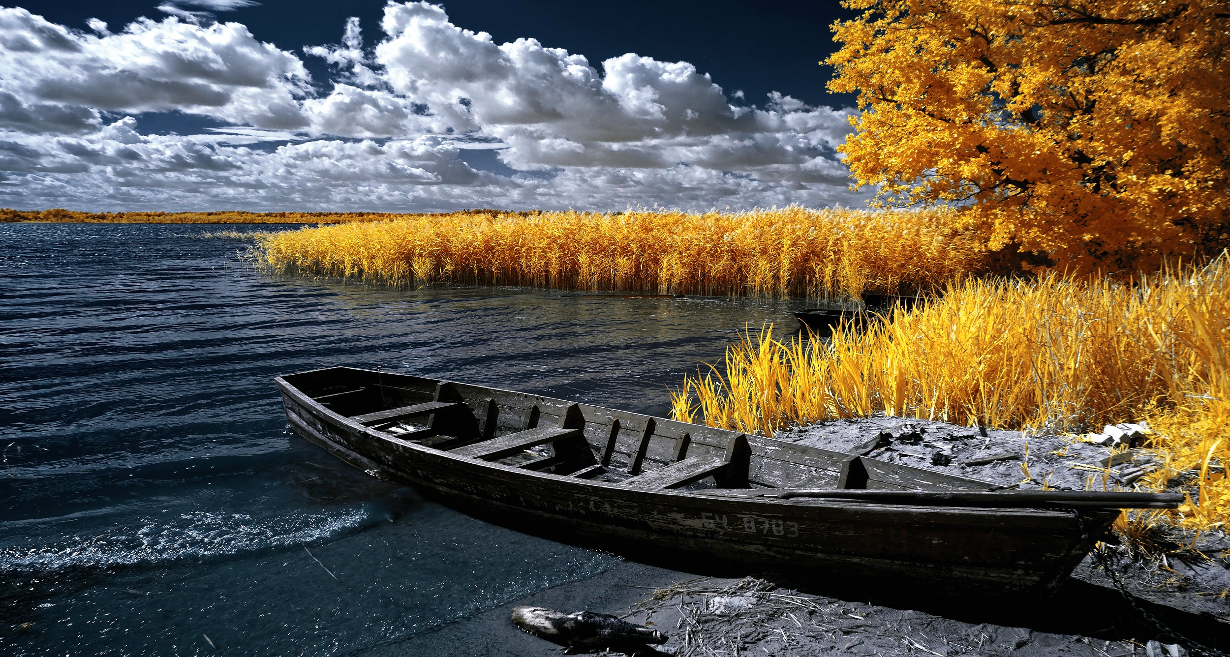 Laden Sie das Herbst, See, Boot, Wolke, Fahrzeuge, Planze-Bild kostenlos auf Ihren PC-Desktop herunter