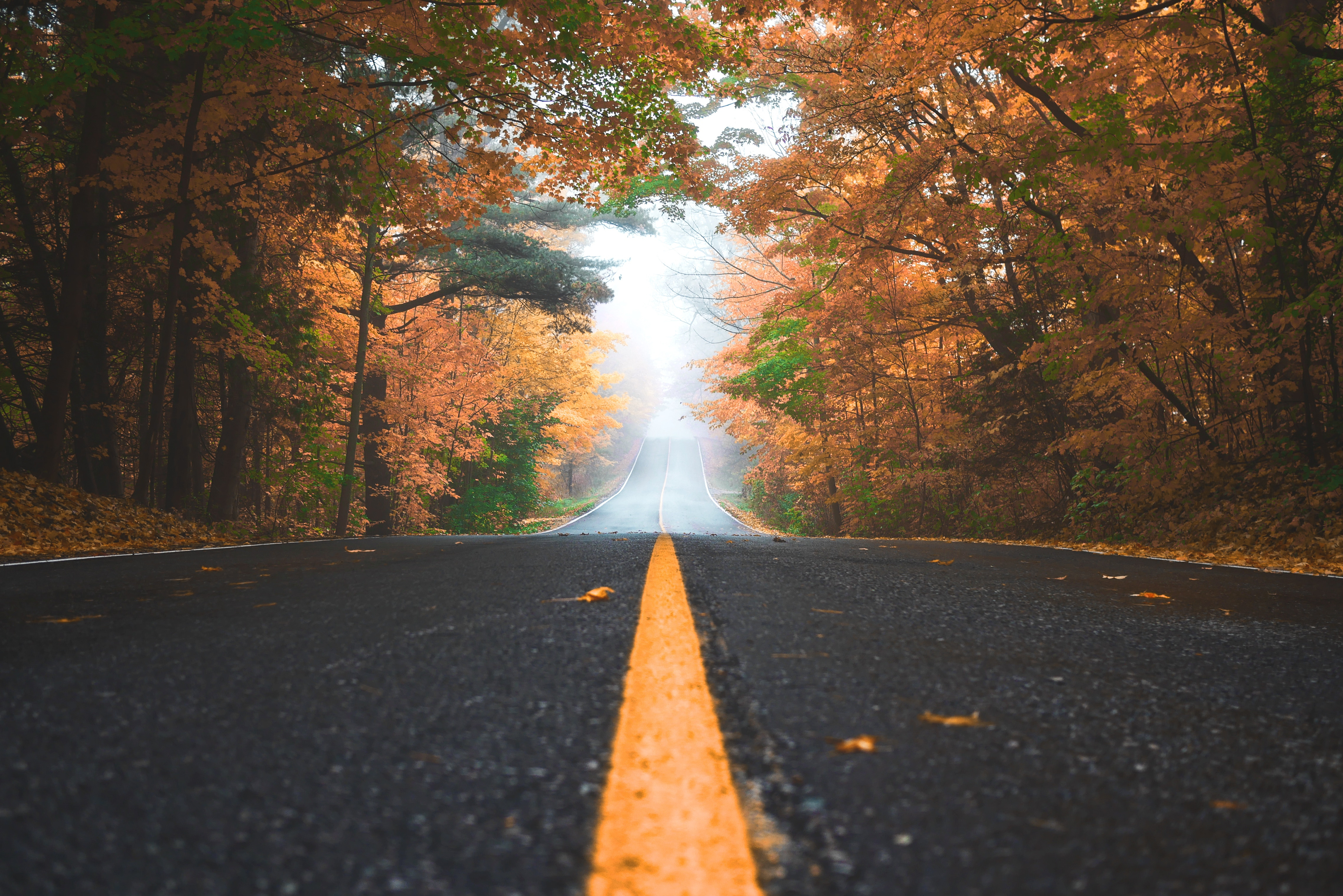 Free download wallpaper Nature, Road, Fall, Man Made on your PC desktop