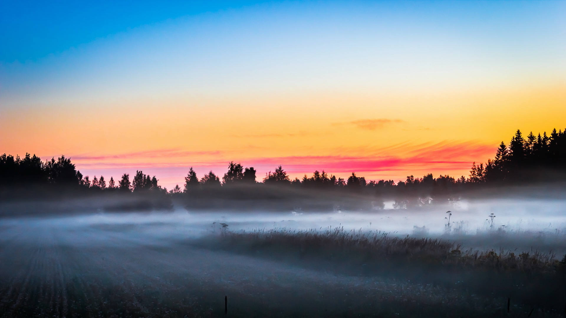 Handy-Wallpaper Natur, Nebel, Sonnenaufgang, Feld, Erde/natur kostenlos herunterladen.