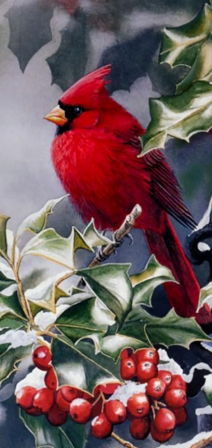 Download mobile wallpaper Winter, Birds, Bird, Branch, Berry, Animal, Cardinal for free.